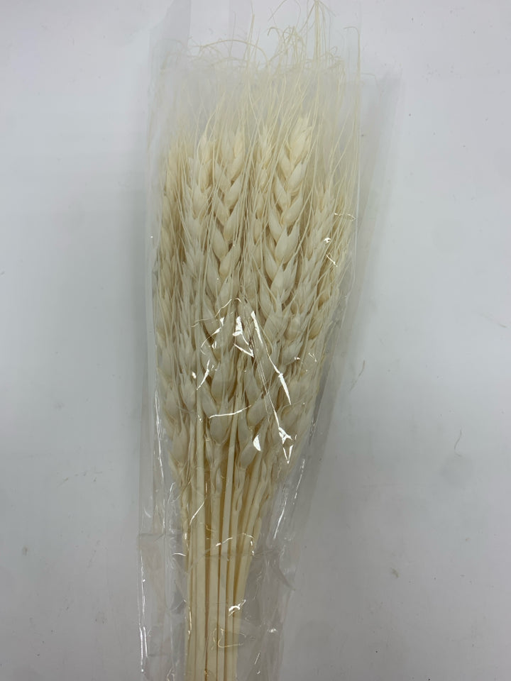 DRIED WHITE IVORY WHEAT STALKS.