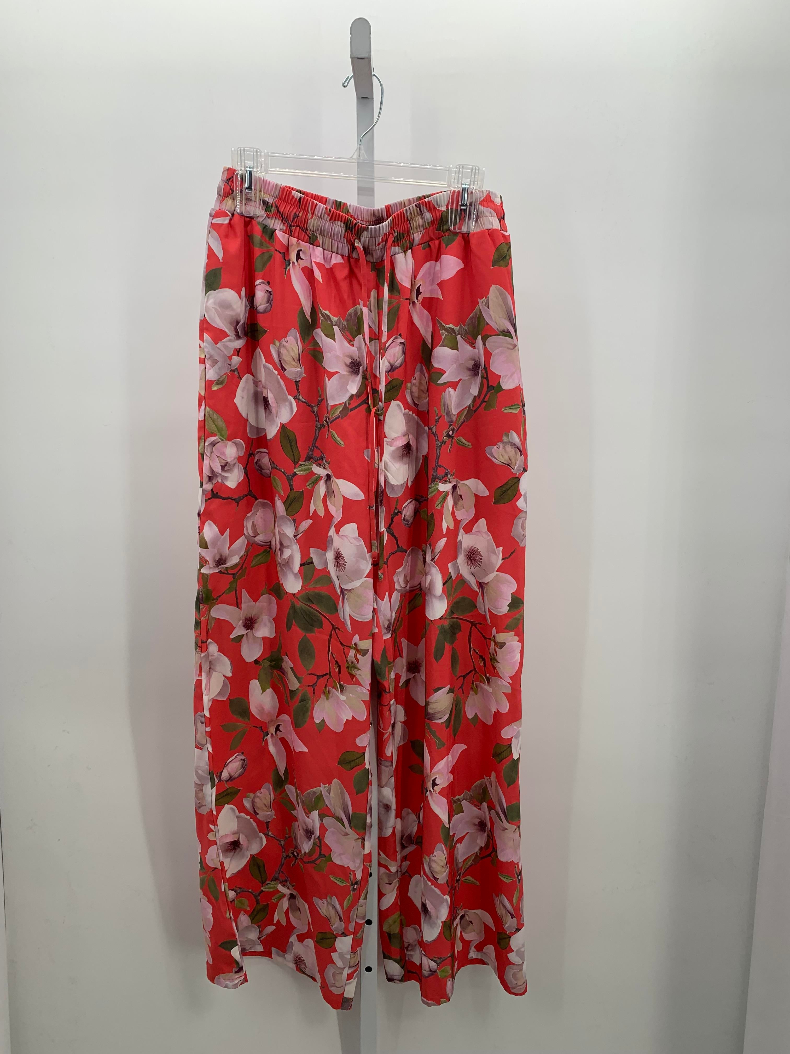 Express Size Medium Misses Pants
