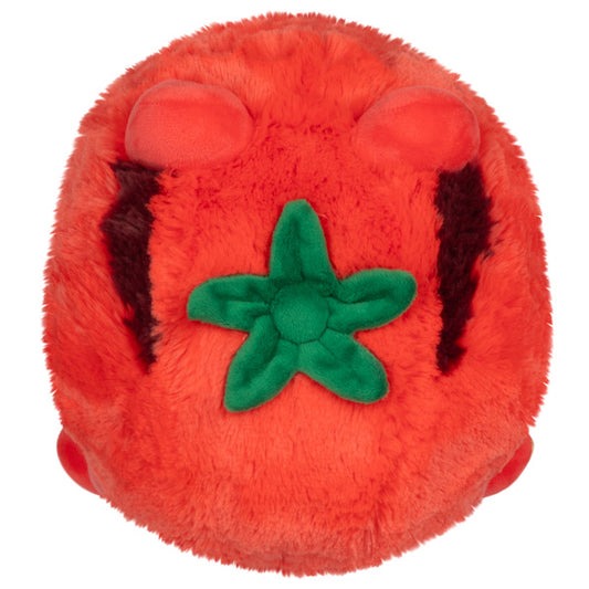 Mini Squishable Tomatoad