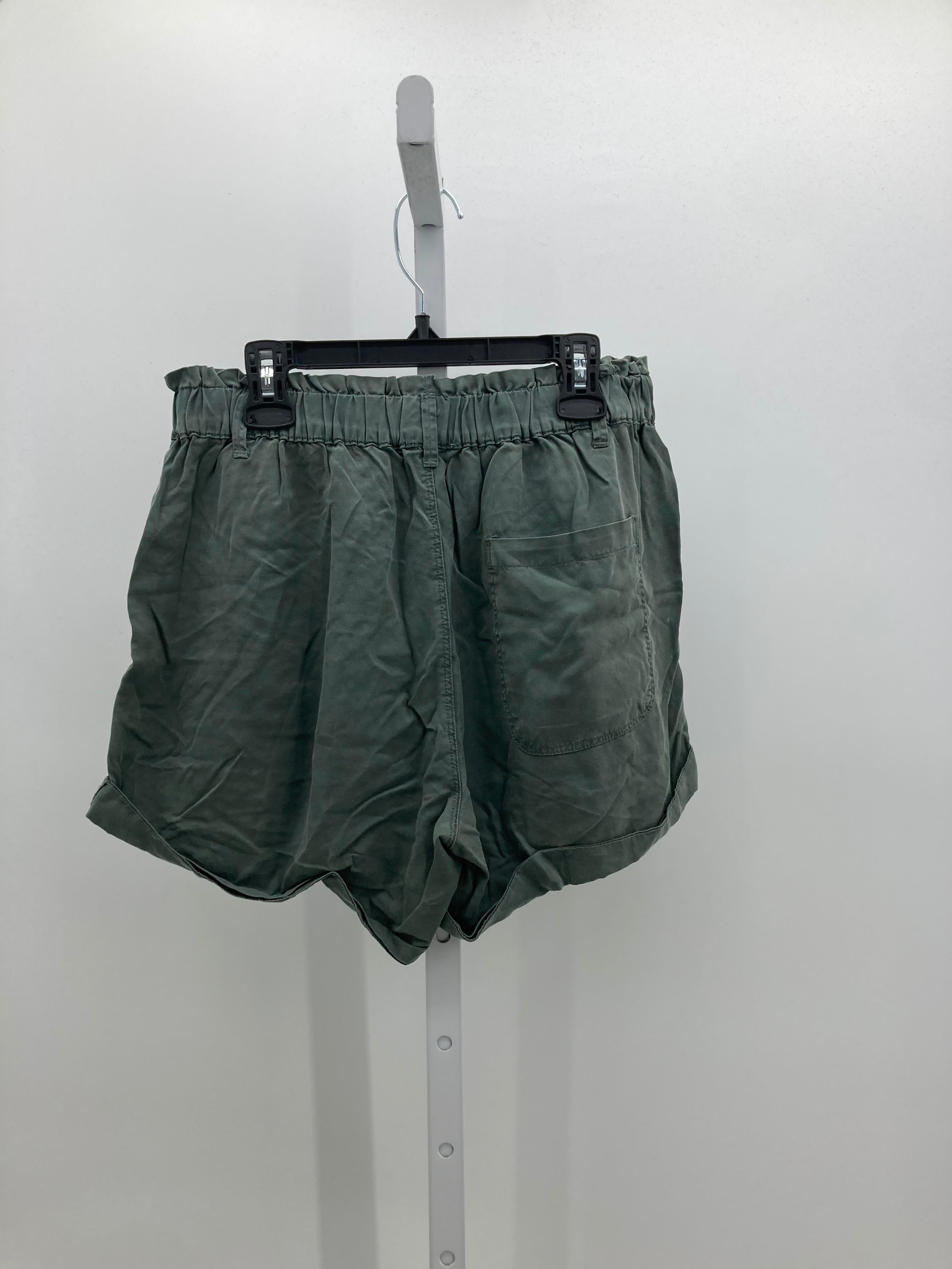 Aerie Size Small Juniors Shorts