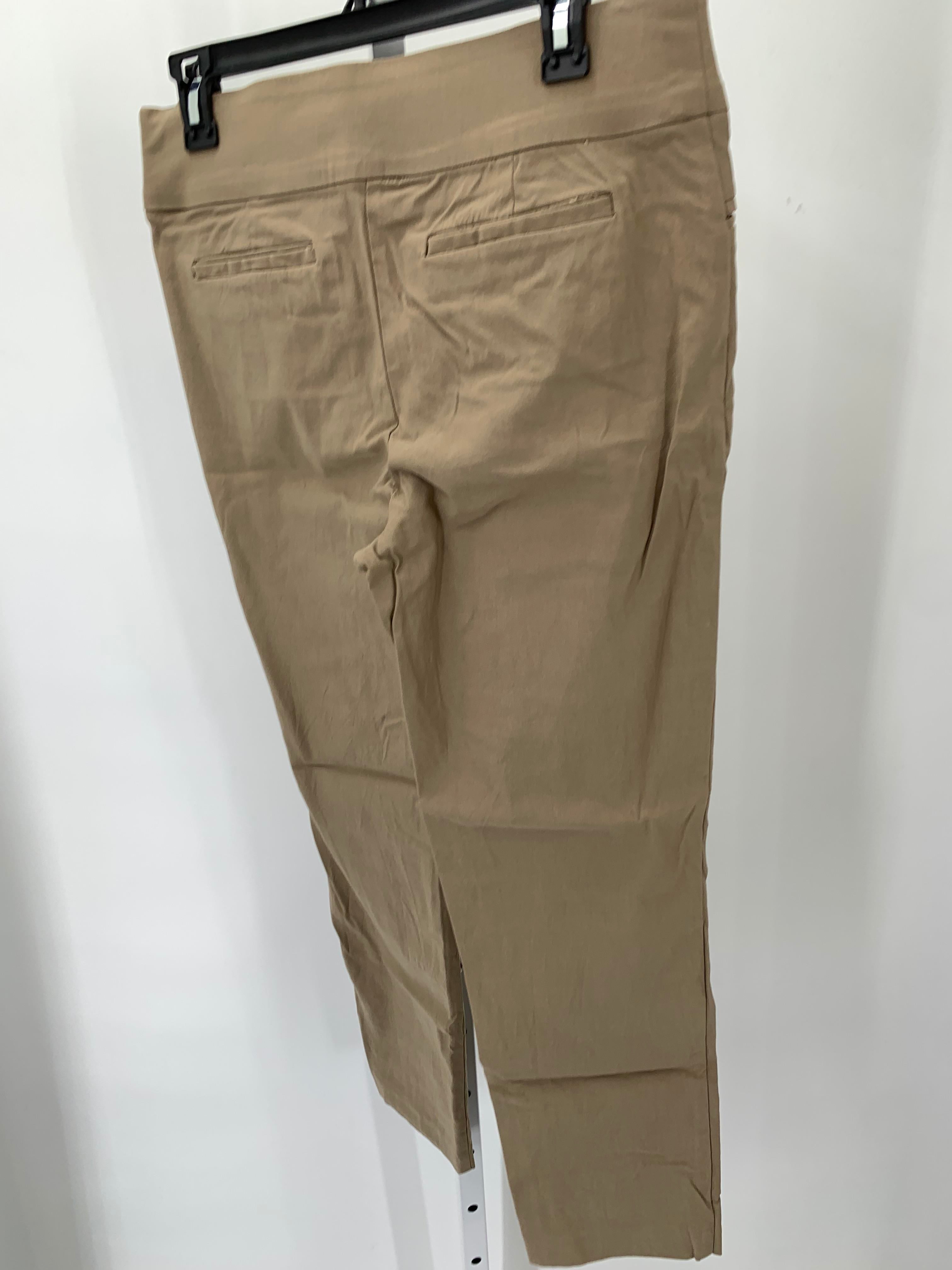 Size 12 Petite Petite Pants