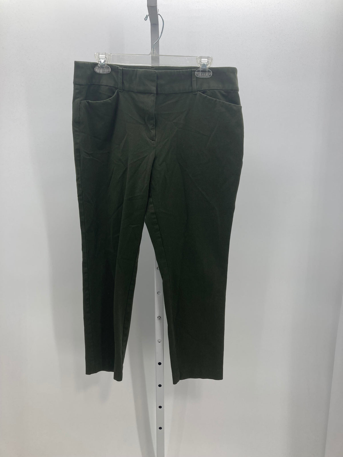 Loft Size 12 Misses Pants