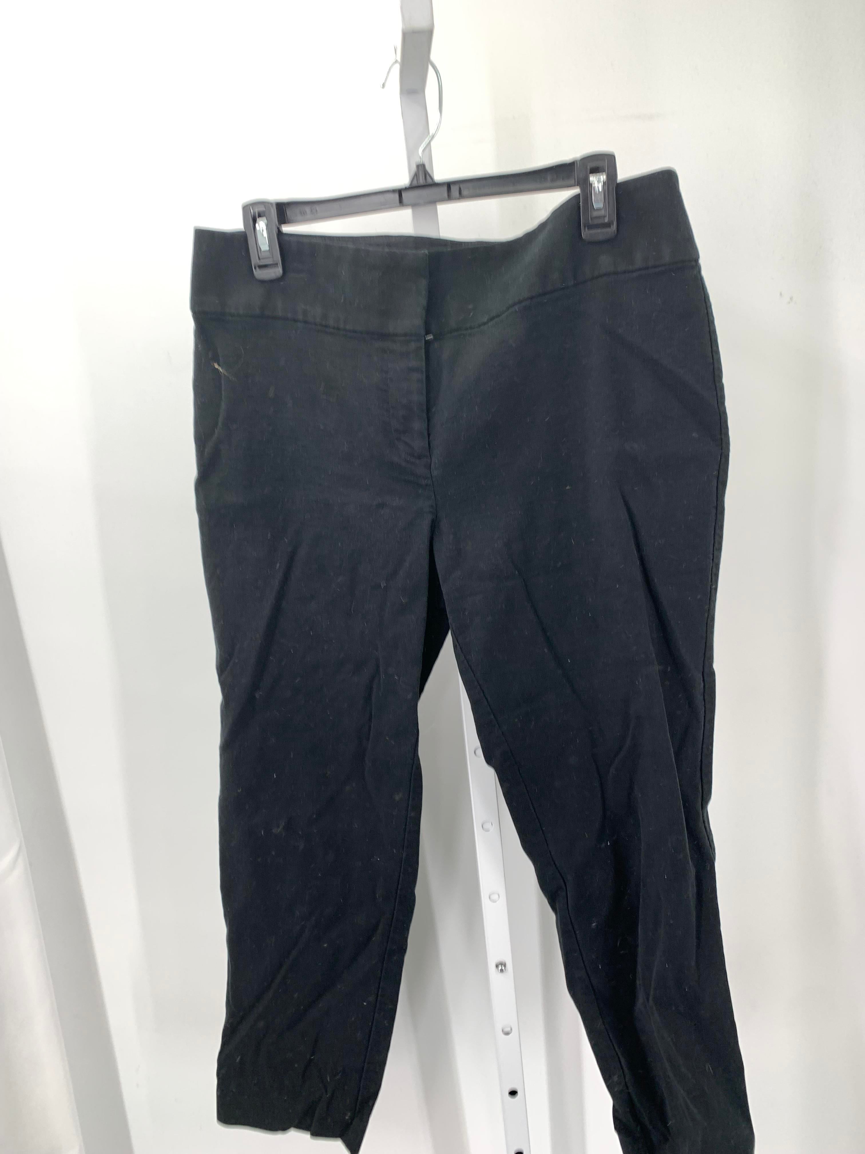 Loft Size 10 Misses Pants