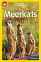 Meerkats