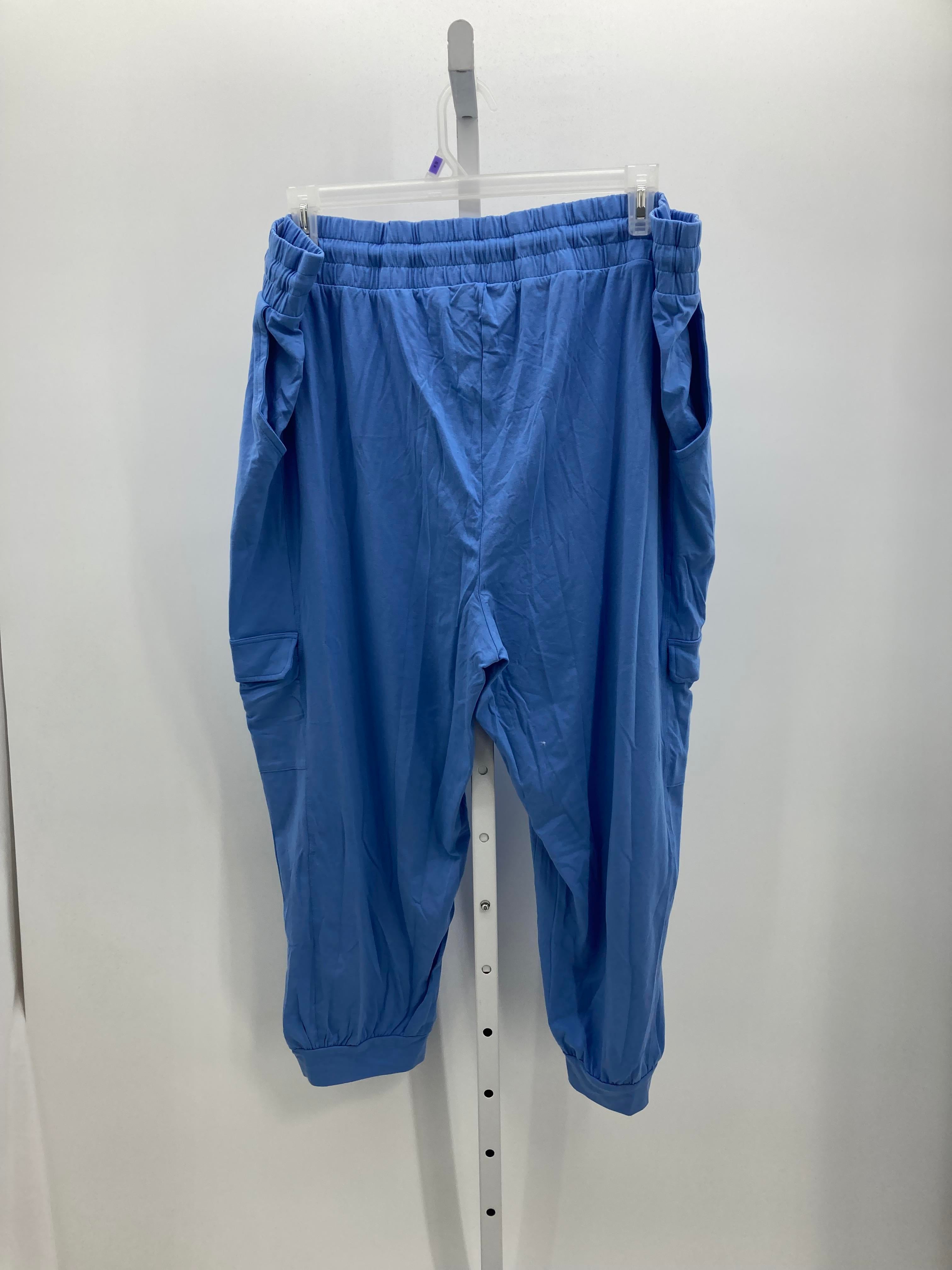 Size 2X Womens Pants