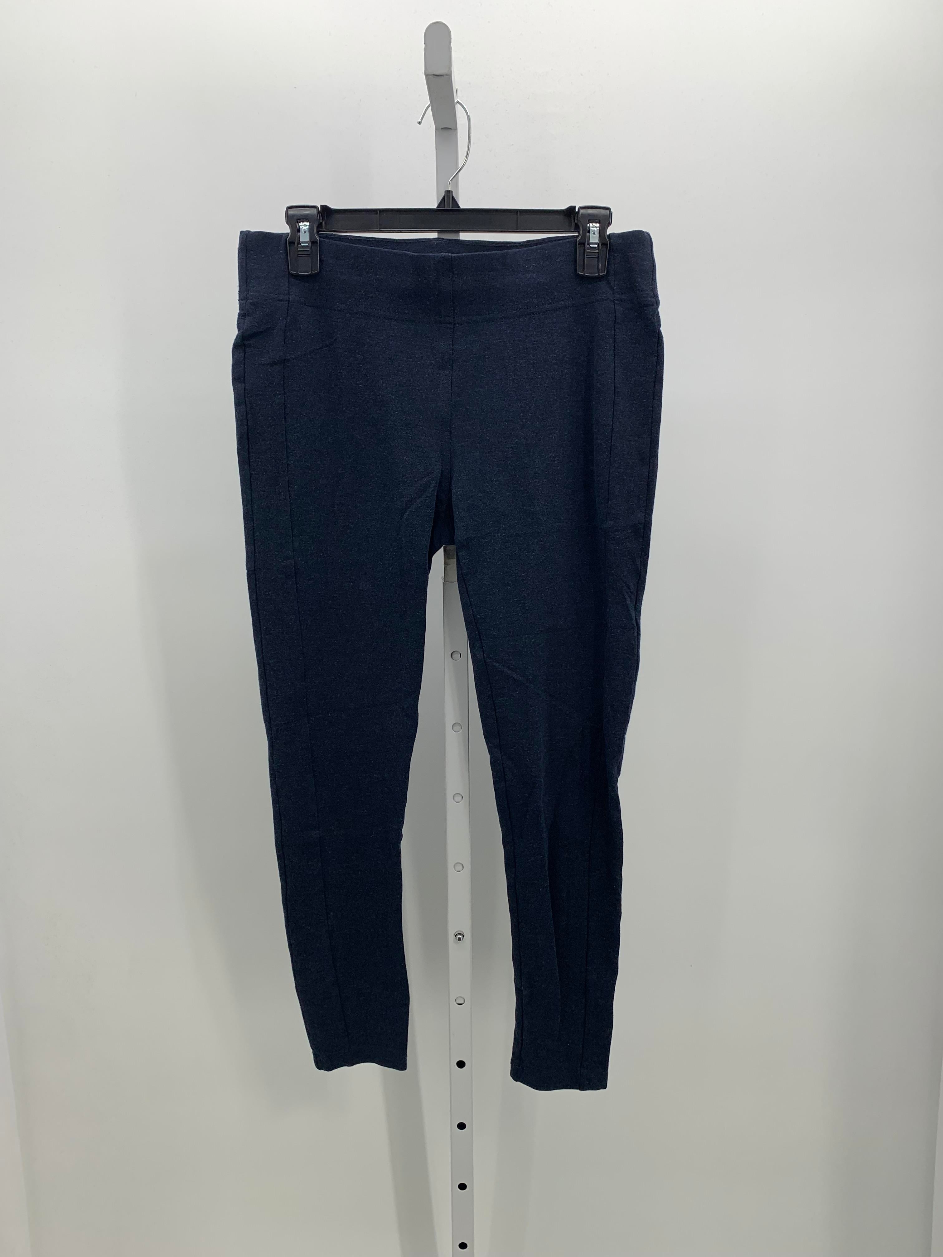 Loft Size Medium Misses Pants