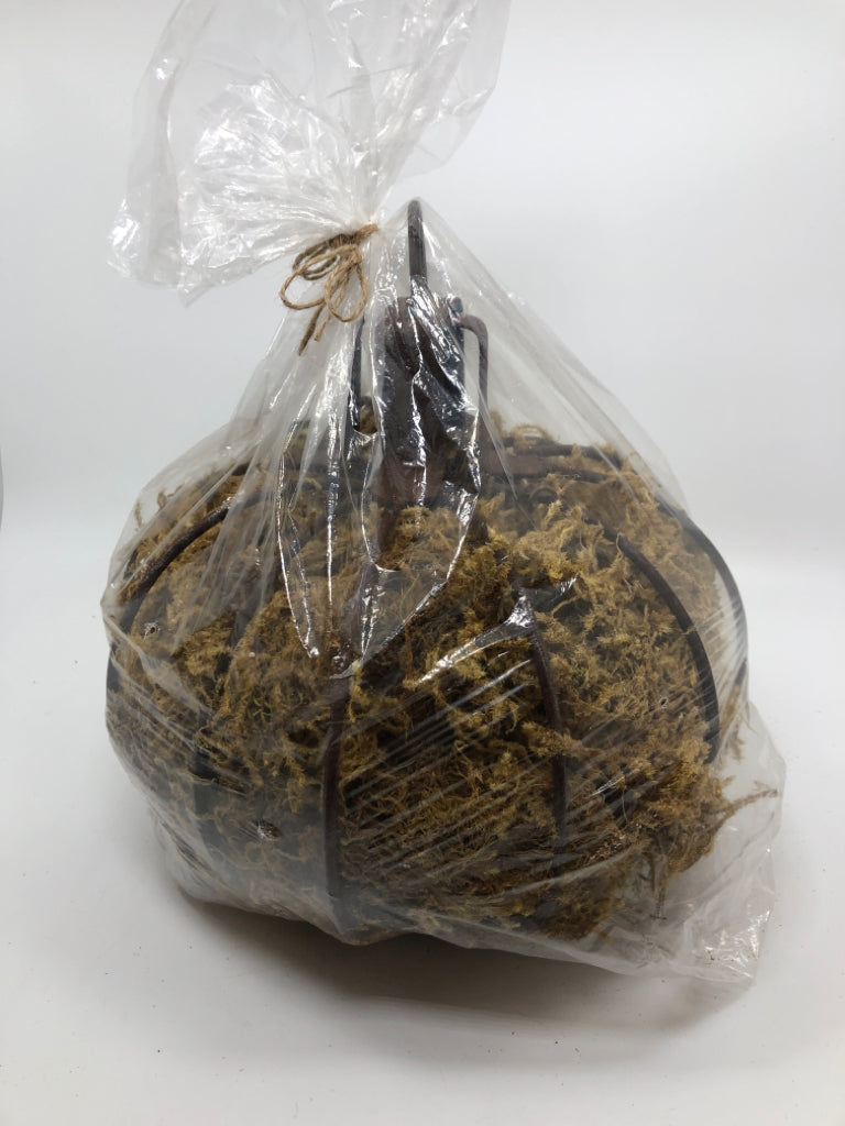 NWT GREEN MOSS PUMPKIN.
