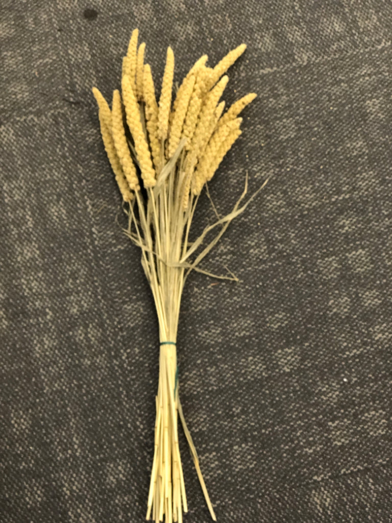 DRIED MILLET BUNDLE.