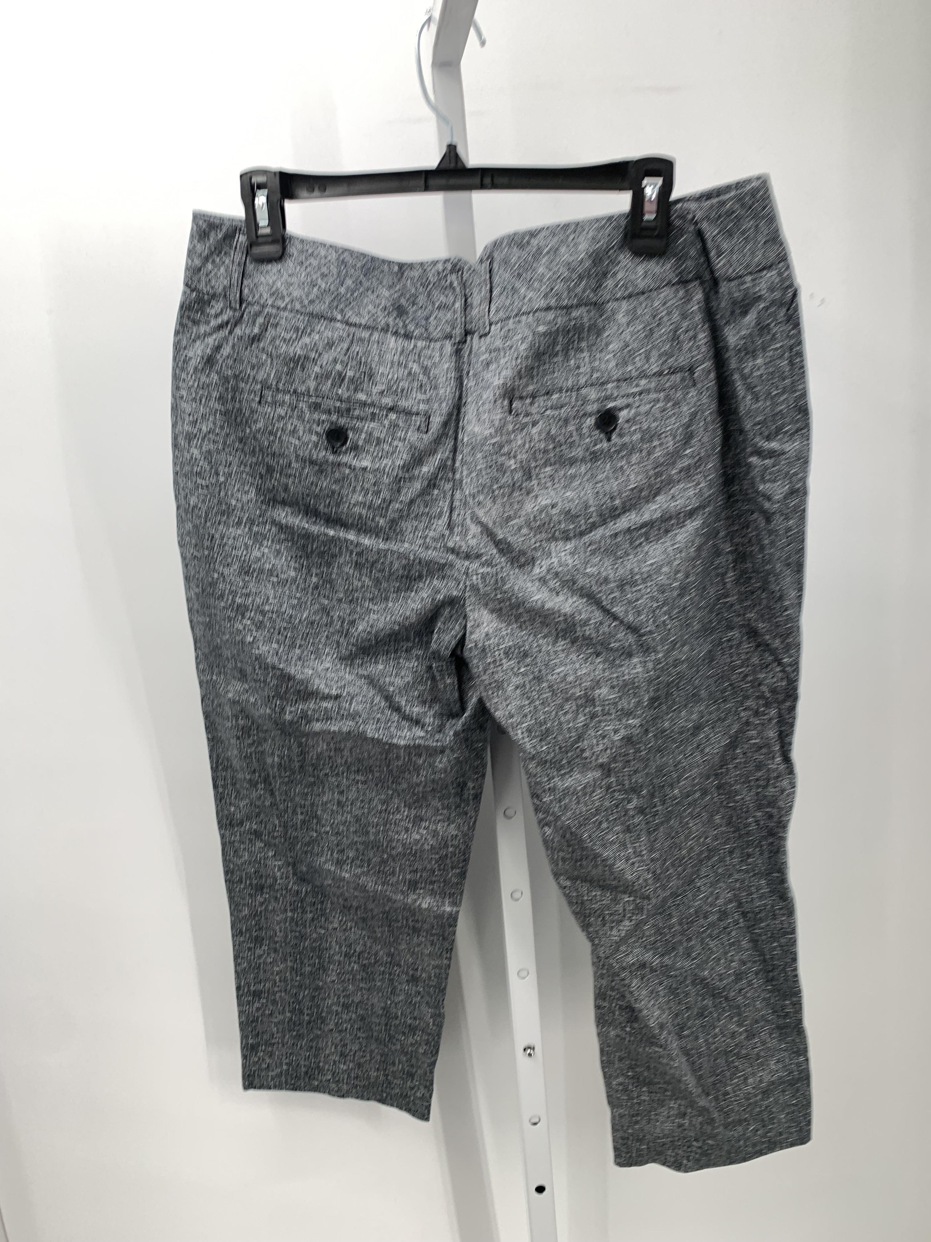 Express Size 12 Misses Capri Pants