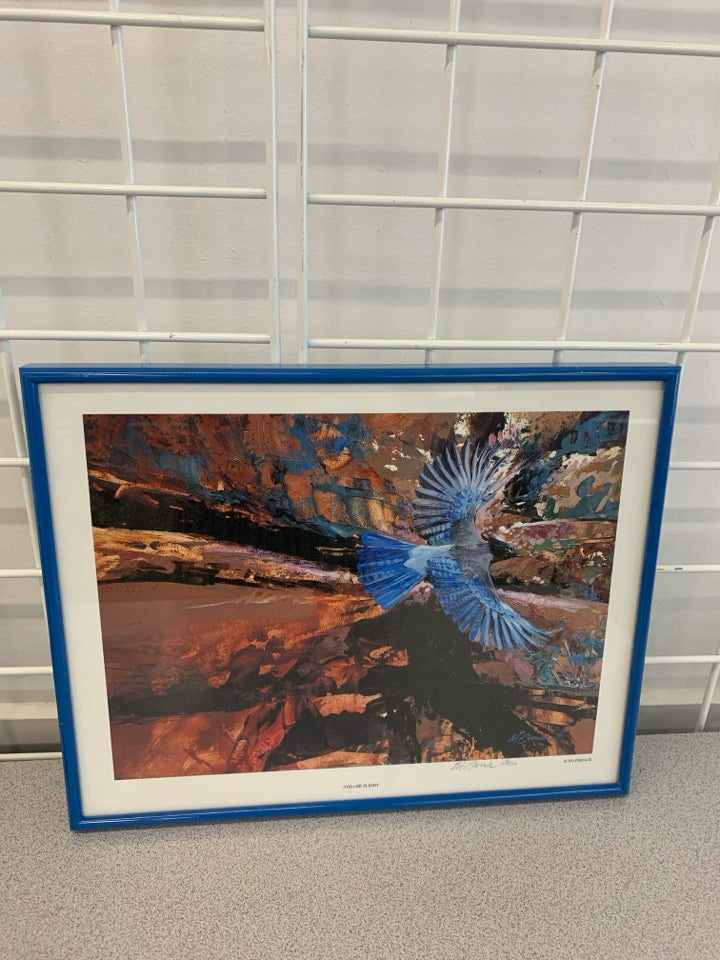 BLUE JAY -STELLER FLIGHT SIGNED PRINT.