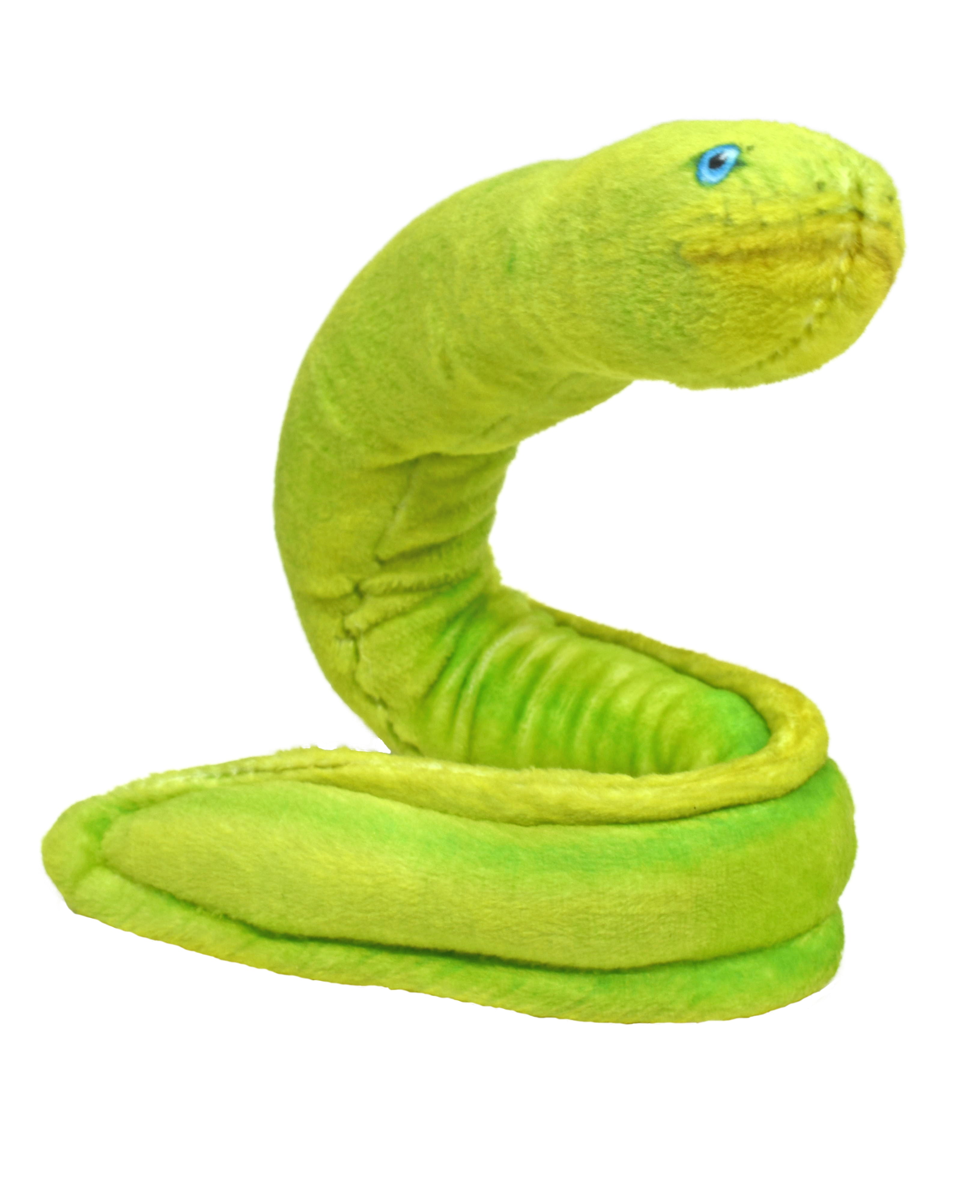 Coilkins Green Moray Eel