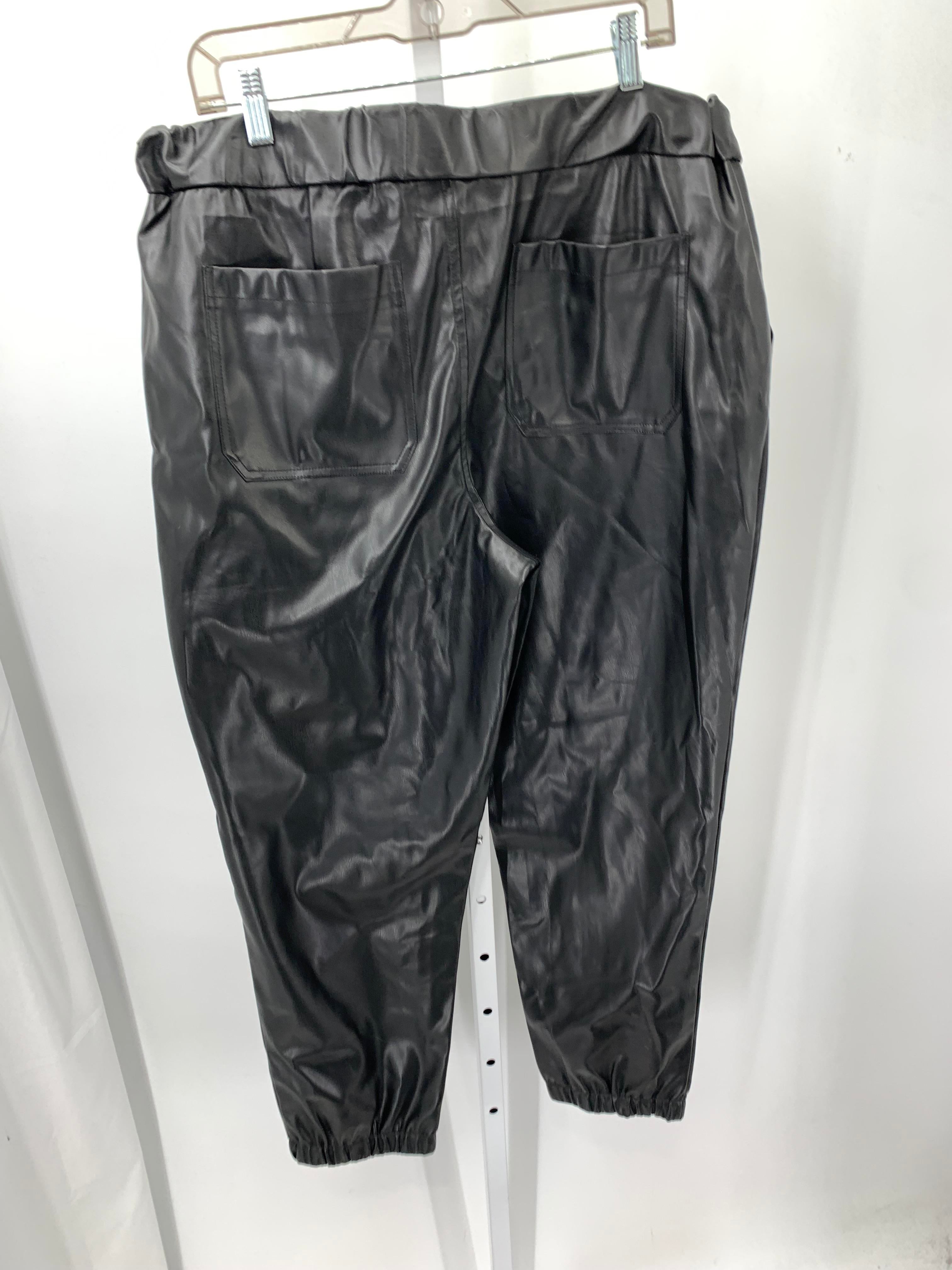 LOGO Size 16 Misses Pants