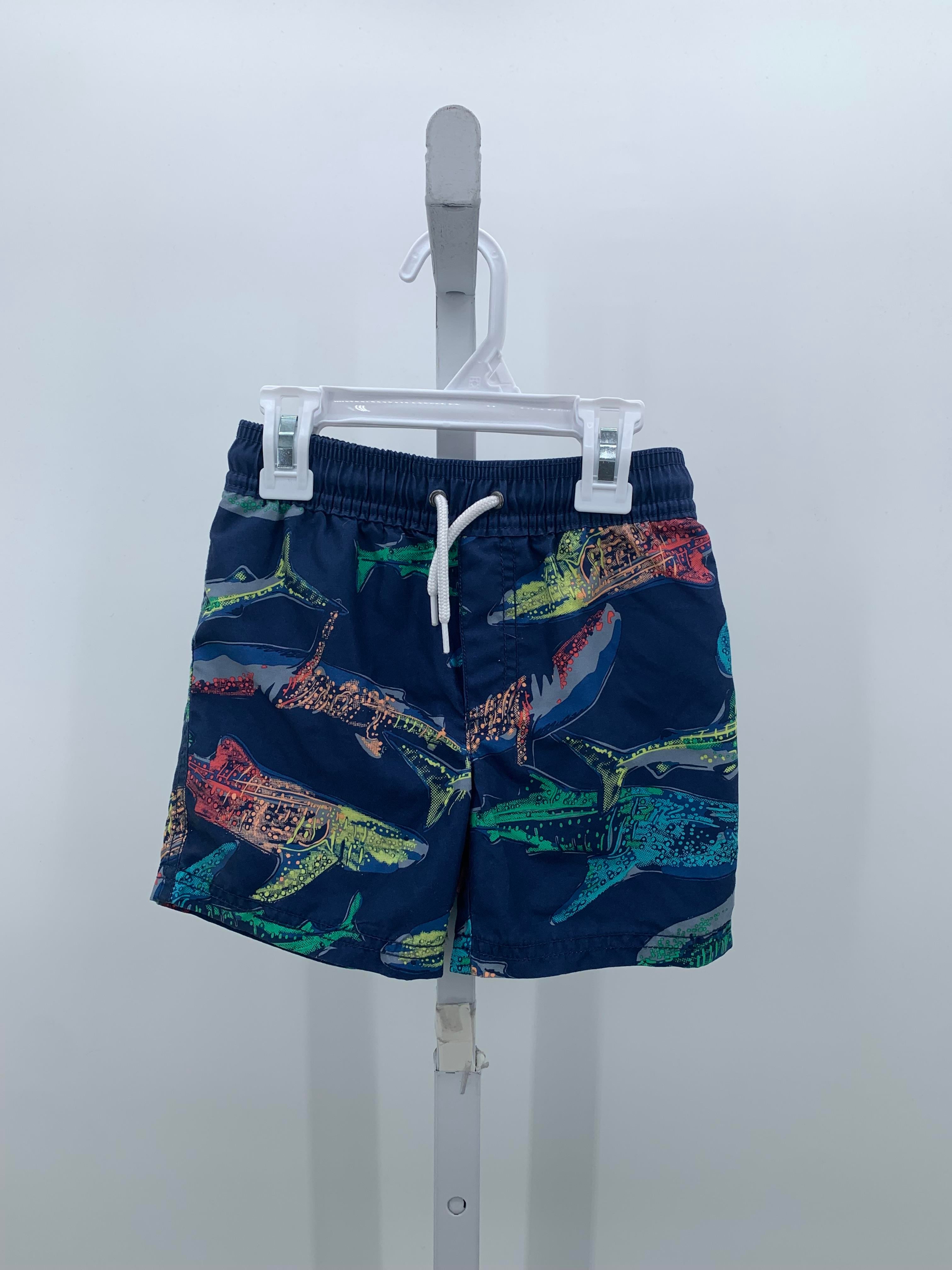 COLORFUL WHALES