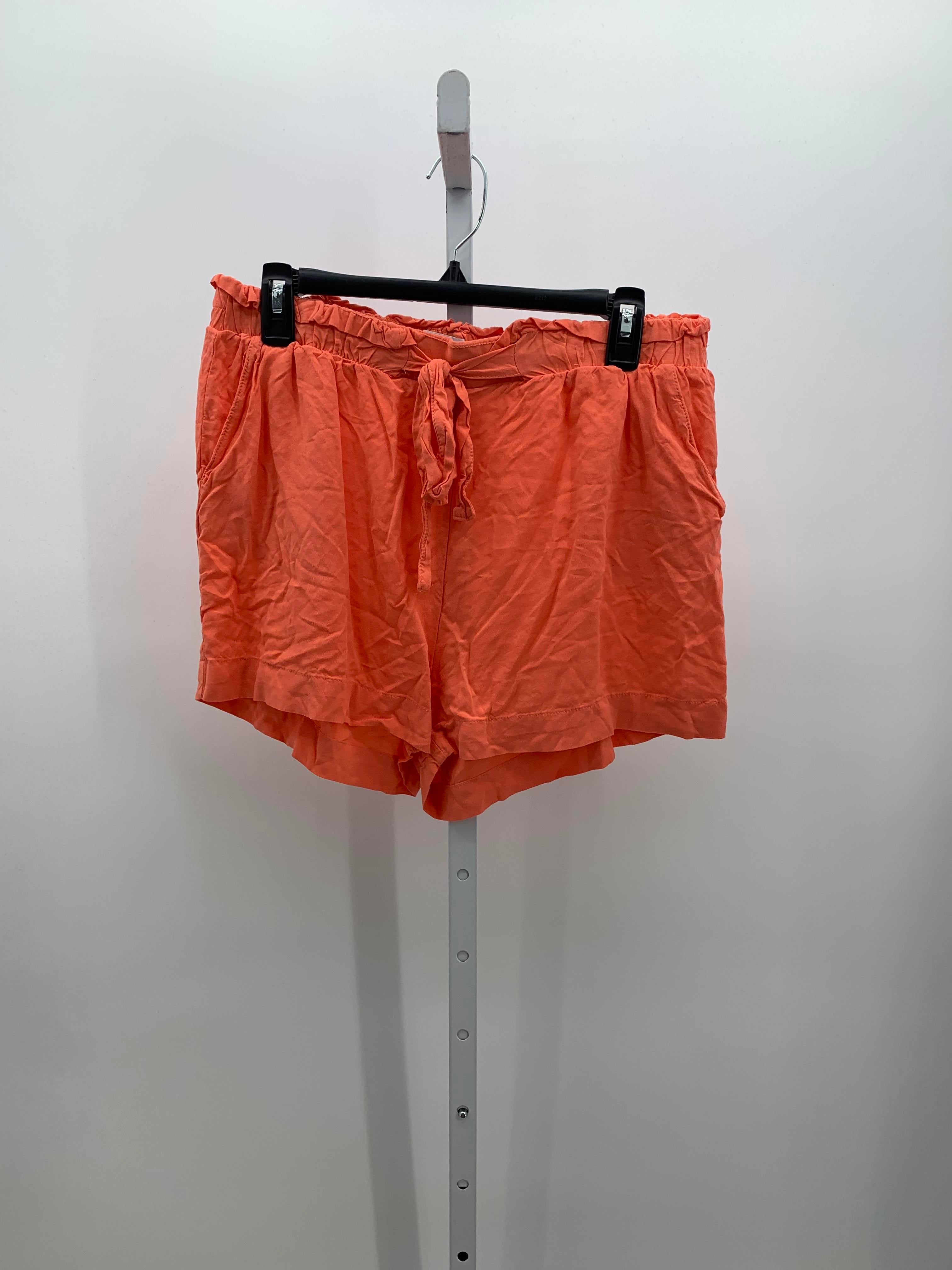 Ci Sono Size Large Juniors Shorts