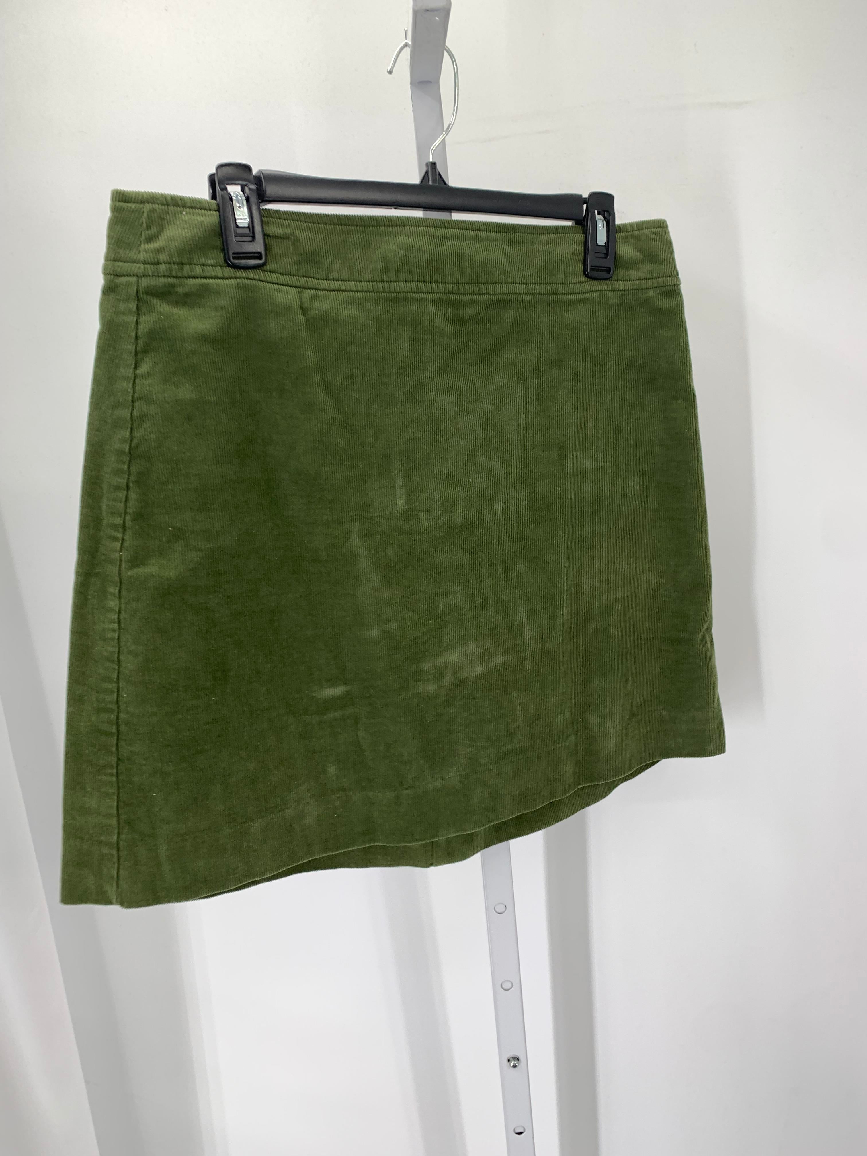 J. Crew Size 10 Misses Skirt