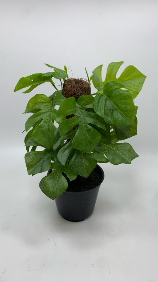 FAUX IVY PLANT IN BLACK PLASTIC POT.