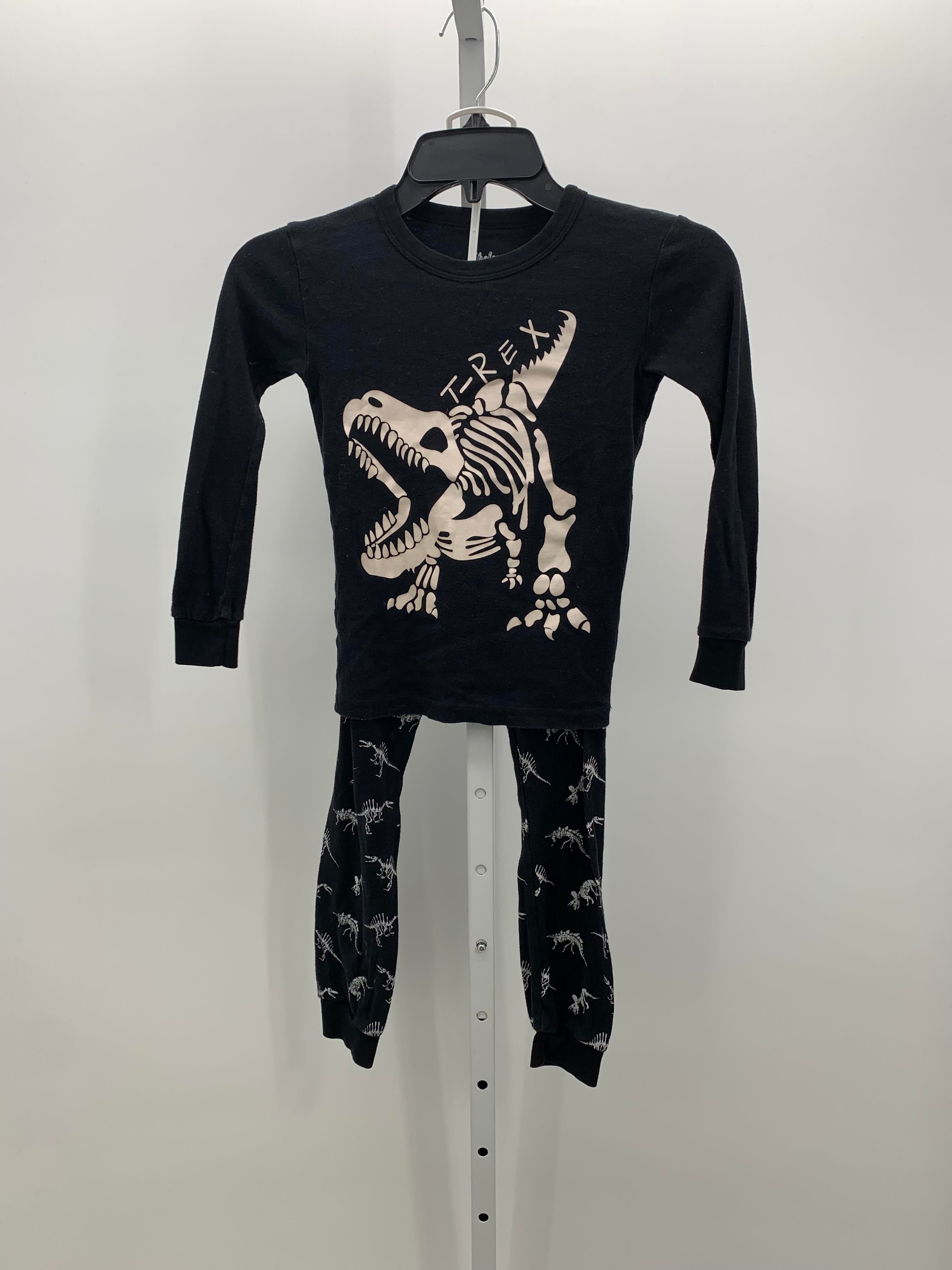 PJS T-REX FOSSILS.