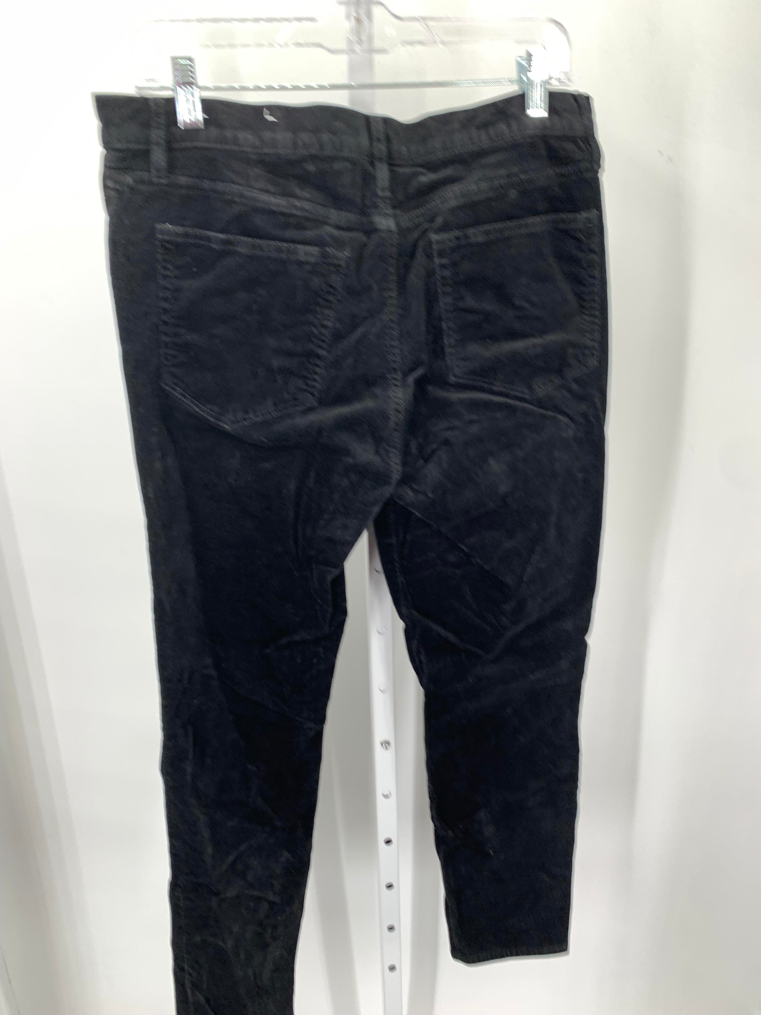 Loft Size 12 Misses Pants