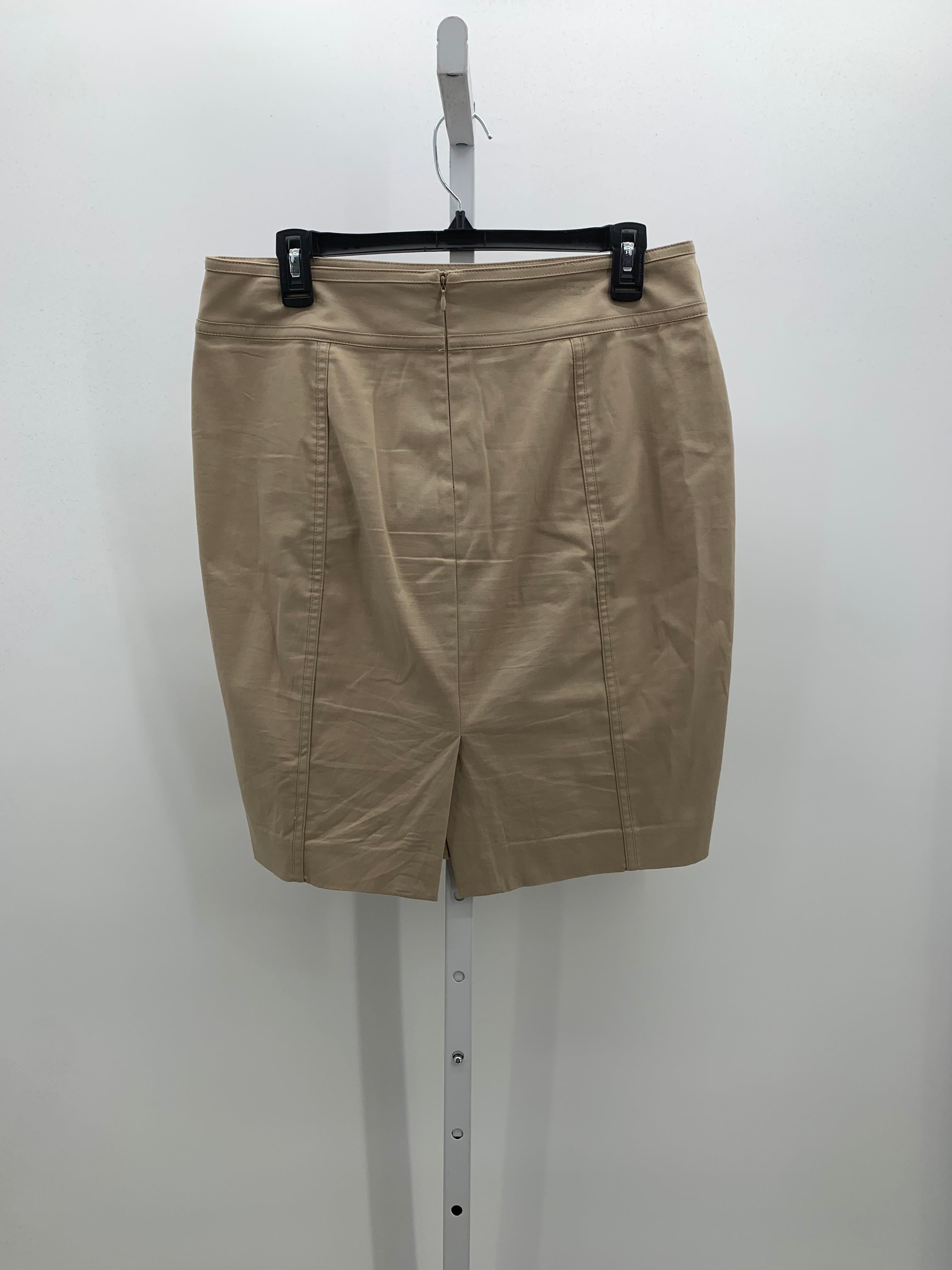 Ann Taylor Size 10 Petite Petite Skirt