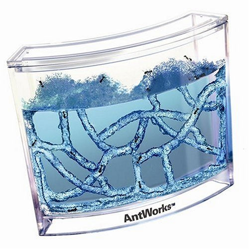 Fasinations Antworks -