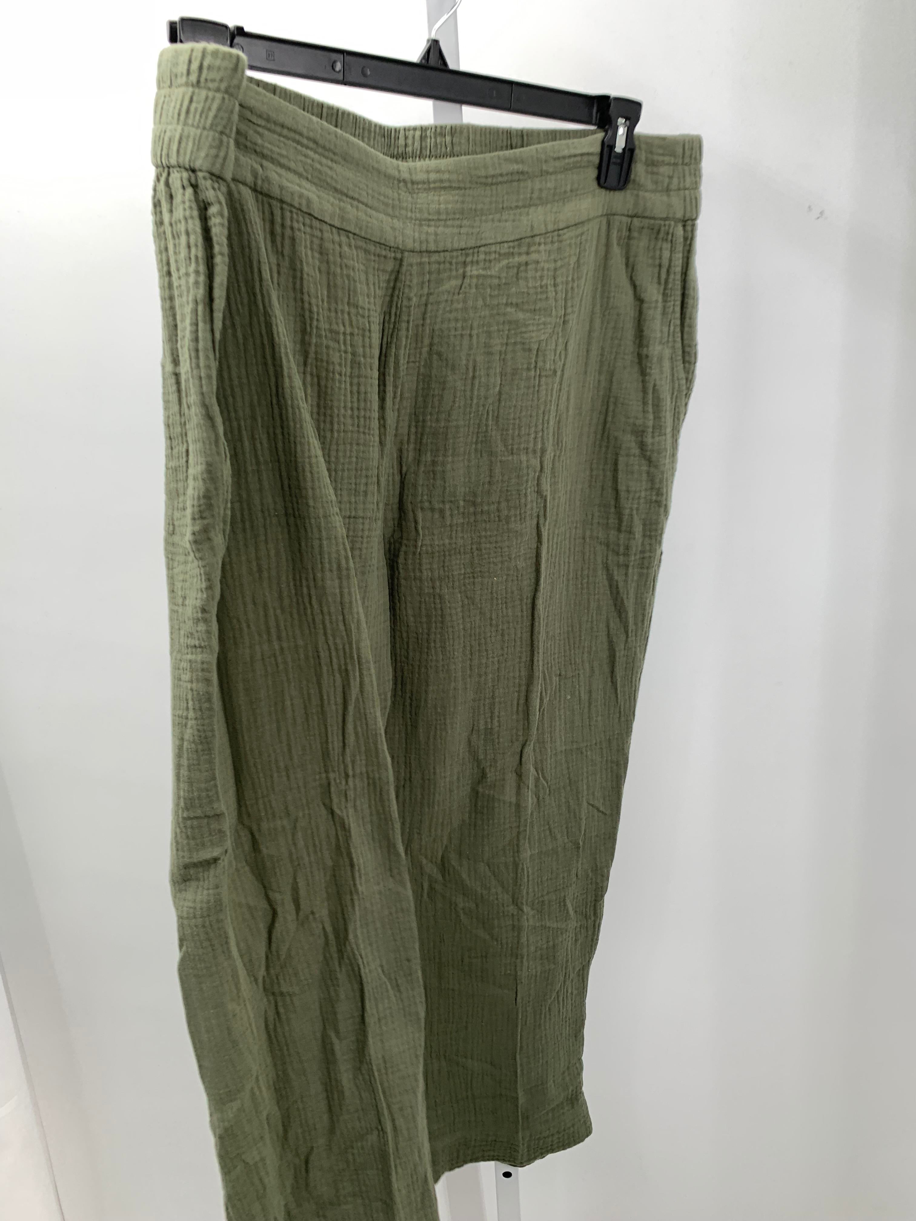 Soft Surroundings Size 1X Womens Pants