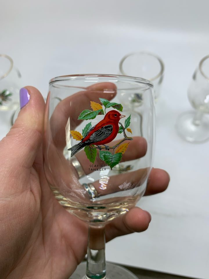 6 SMALL CORDIAL GLASSES W/ PRINTED NEW ENGLAND BIRDS.
