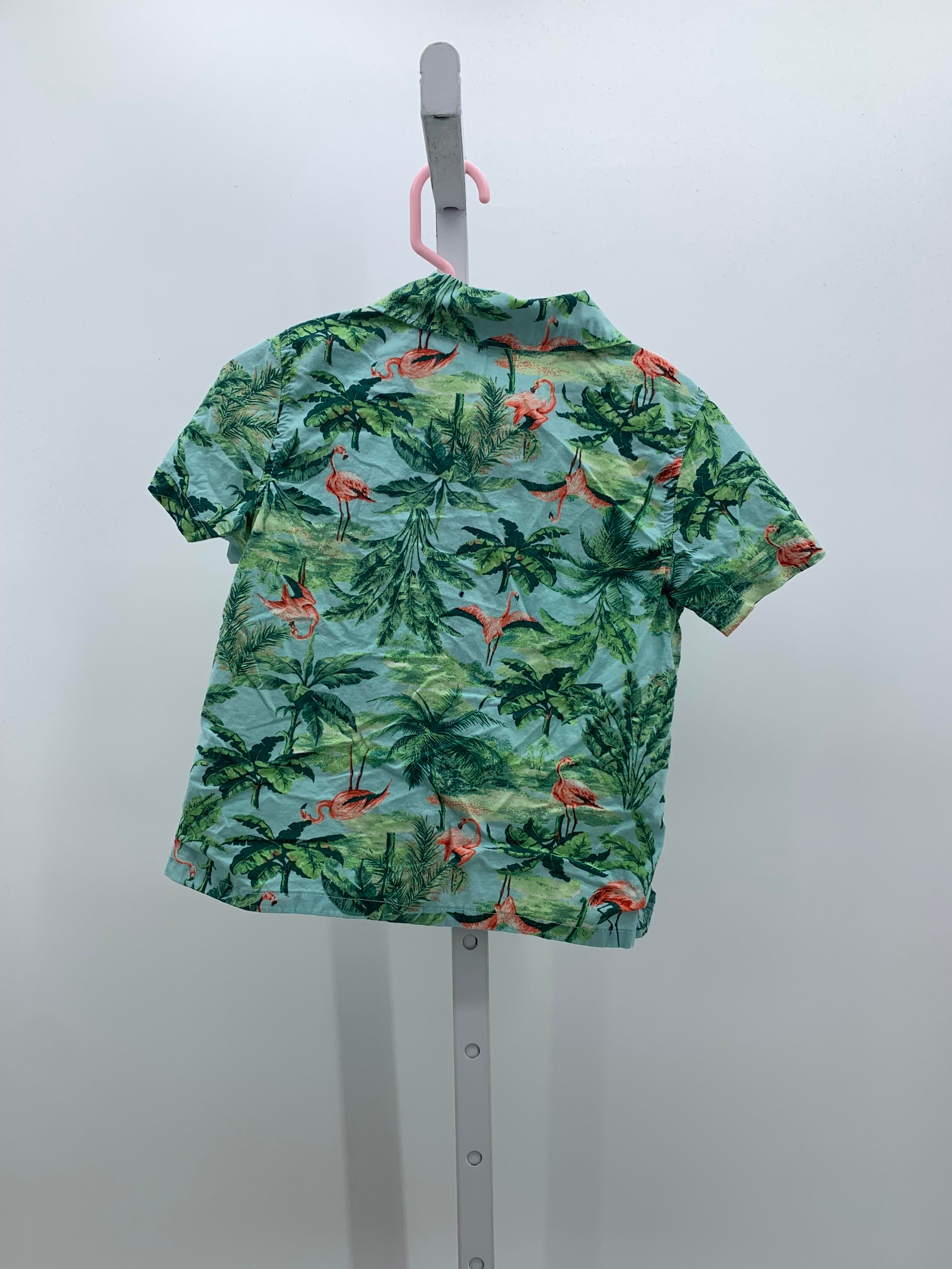 TROPICAL FLAMINGOS