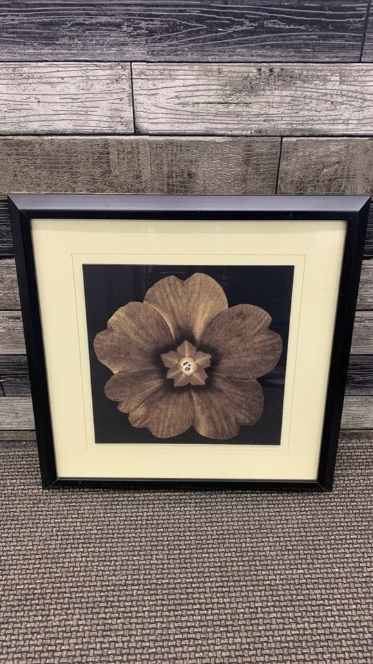 DARK BROWN FLOWER IN BLACK FRAME.