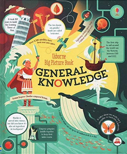 Big Picture Book of General Knowledge - James Maclaine
