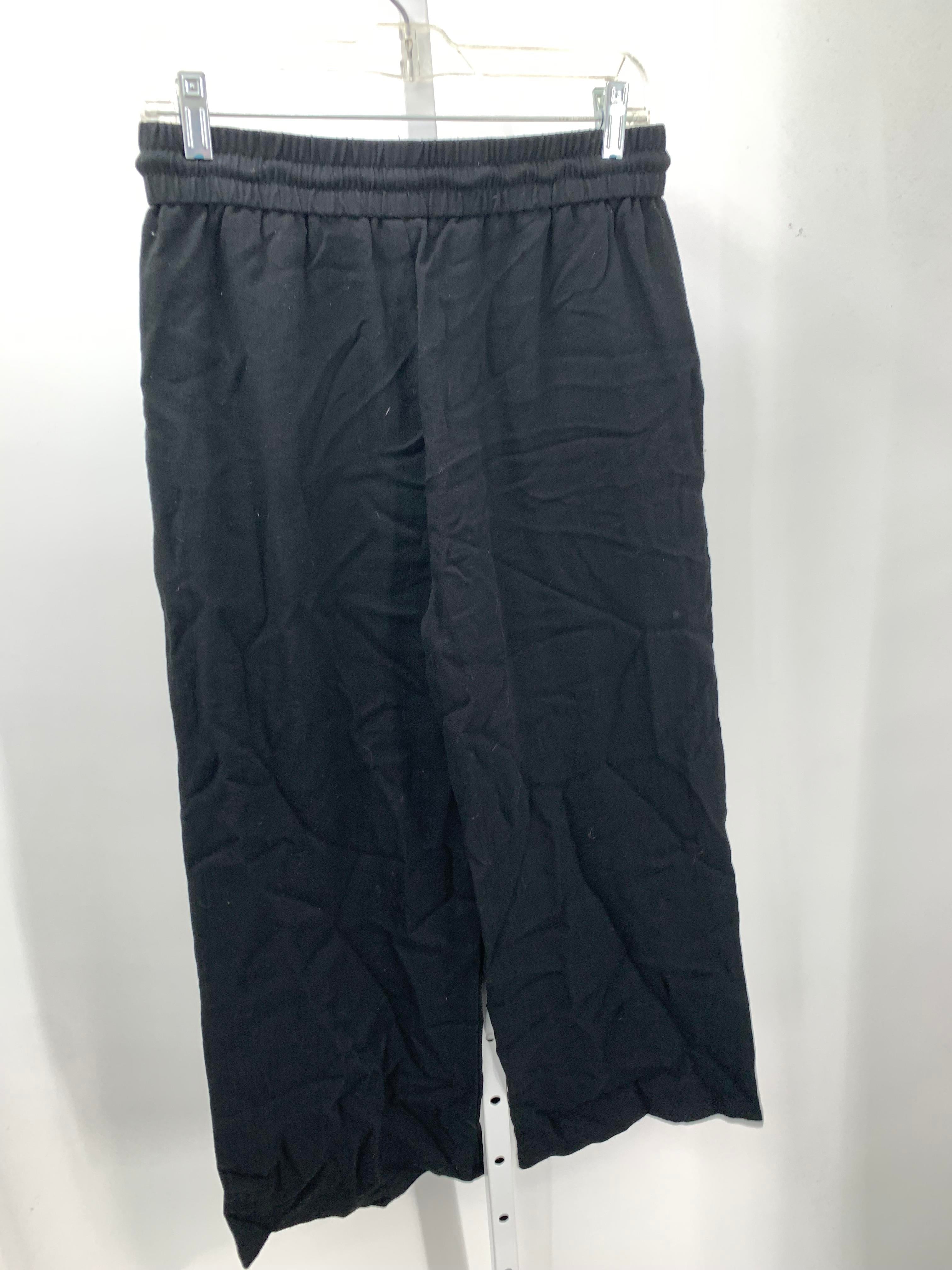 Size Medium Petite Petite Pants