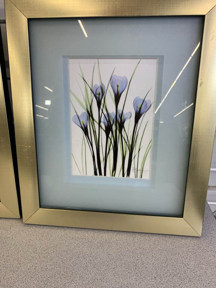 3PC FRAMED BLUE BOTANICAL X-RAY PRINTS ALBERT KOETSIER.