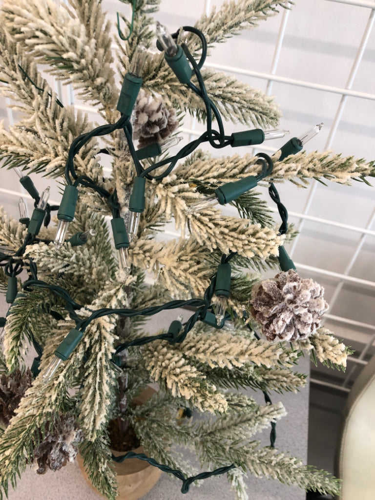 WARM LIGHT FROSTED PINE TREE IN WOOD POT.