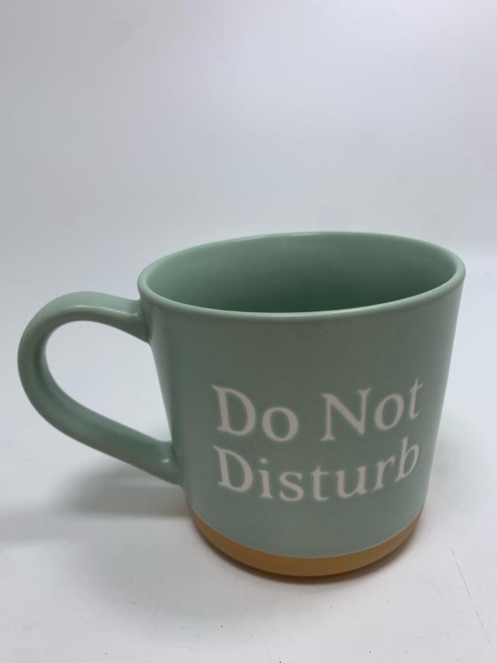 DO NOT DISTURB TEAL MUG.