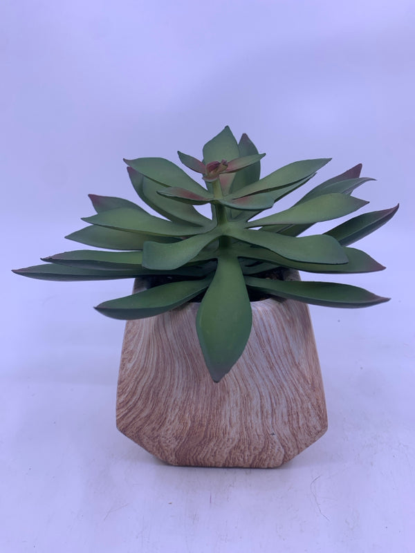 SUCCULENT IN SQUARE NARROW TOP WOOD PLANTER.
