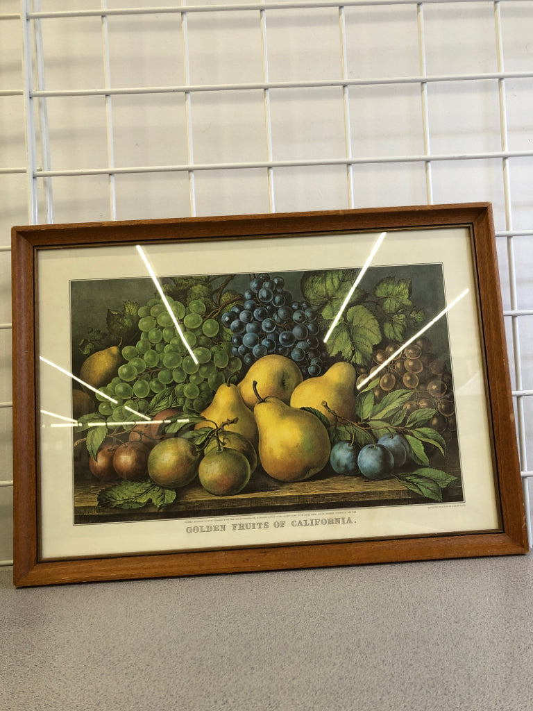 GOLDEN FRUITS OF CALIF WOOD FRAMED PRINT.
