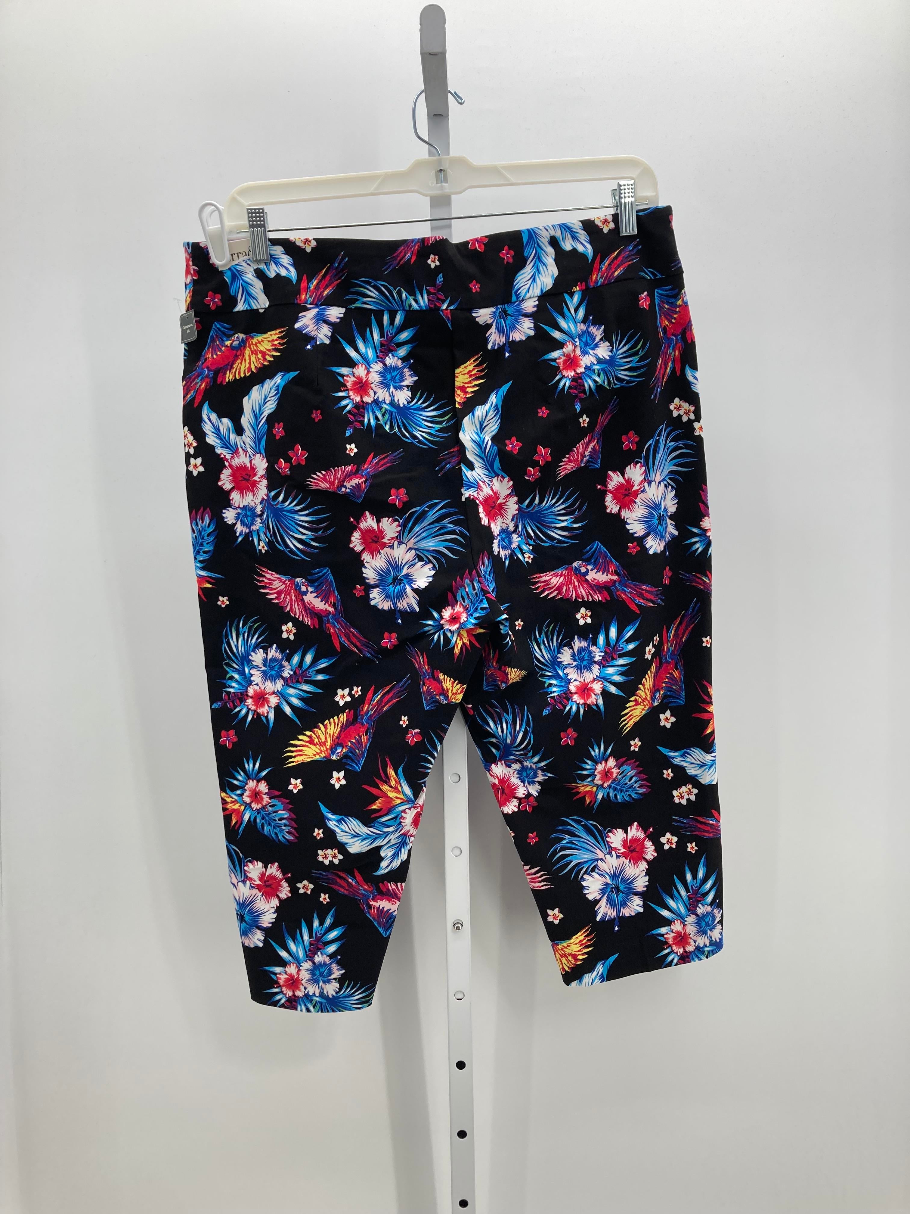 Terra & Sky Size 1X Womens Capri Pants