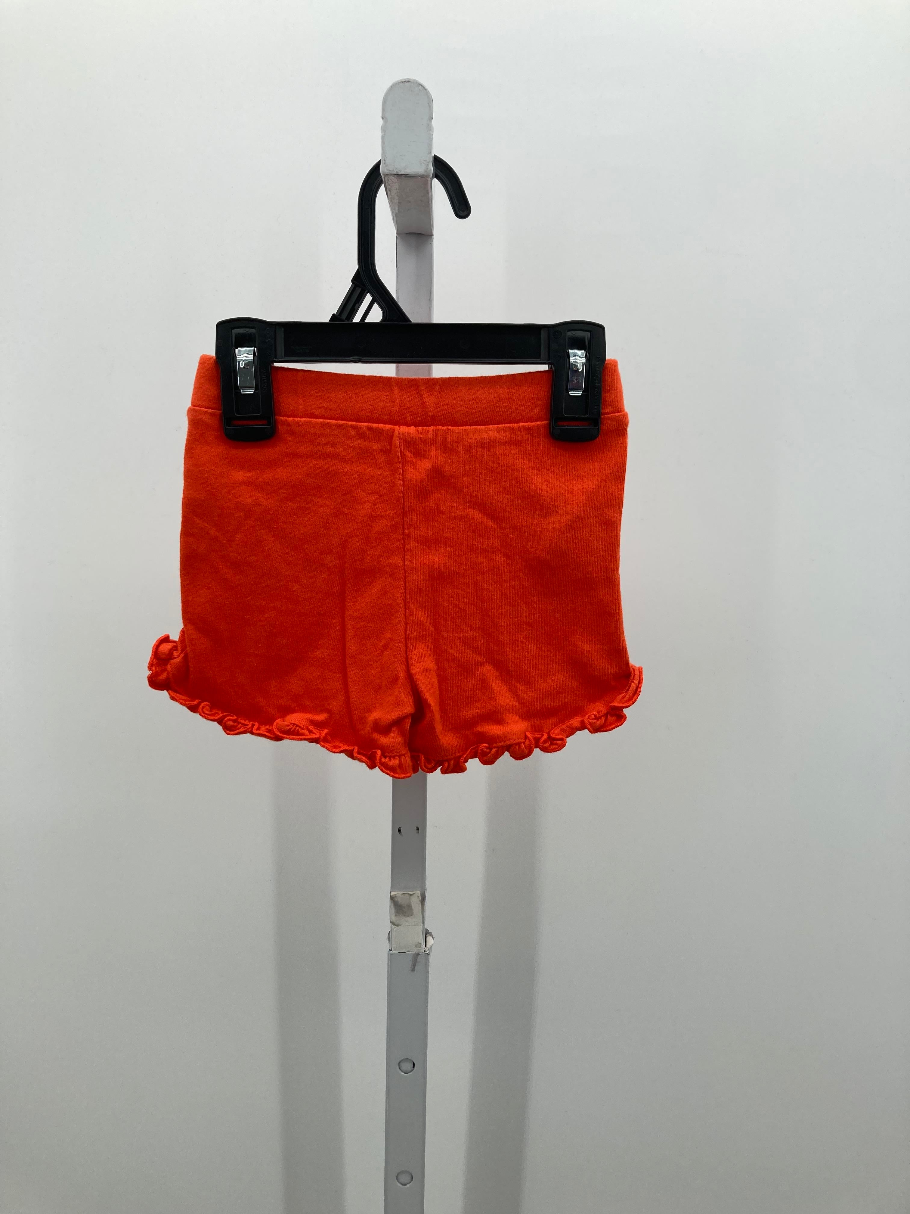 Koala Baby Size 18 Months Girls Shorts