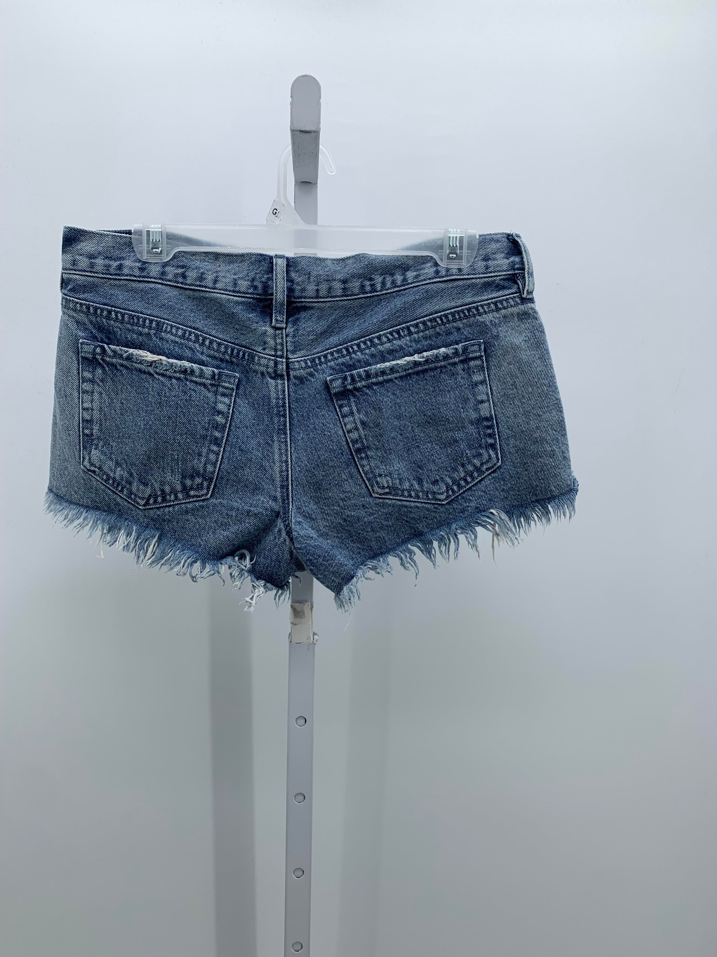 PacSun Size 4 Juniors Shorts