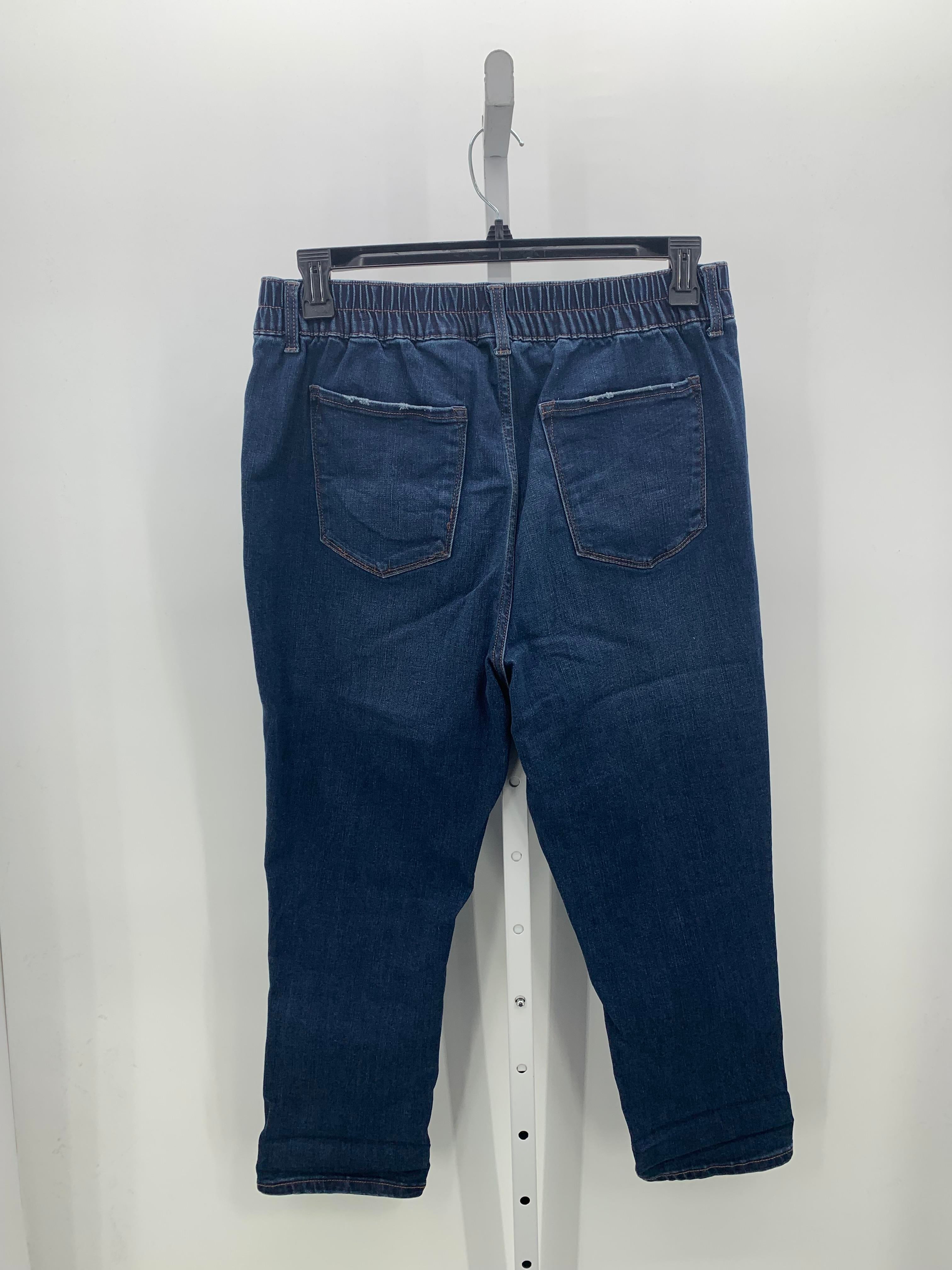 Terra & Sky Size 0X Womens Jeans