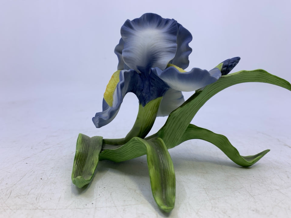 PORCELAIN BLUE IRIS-1989.