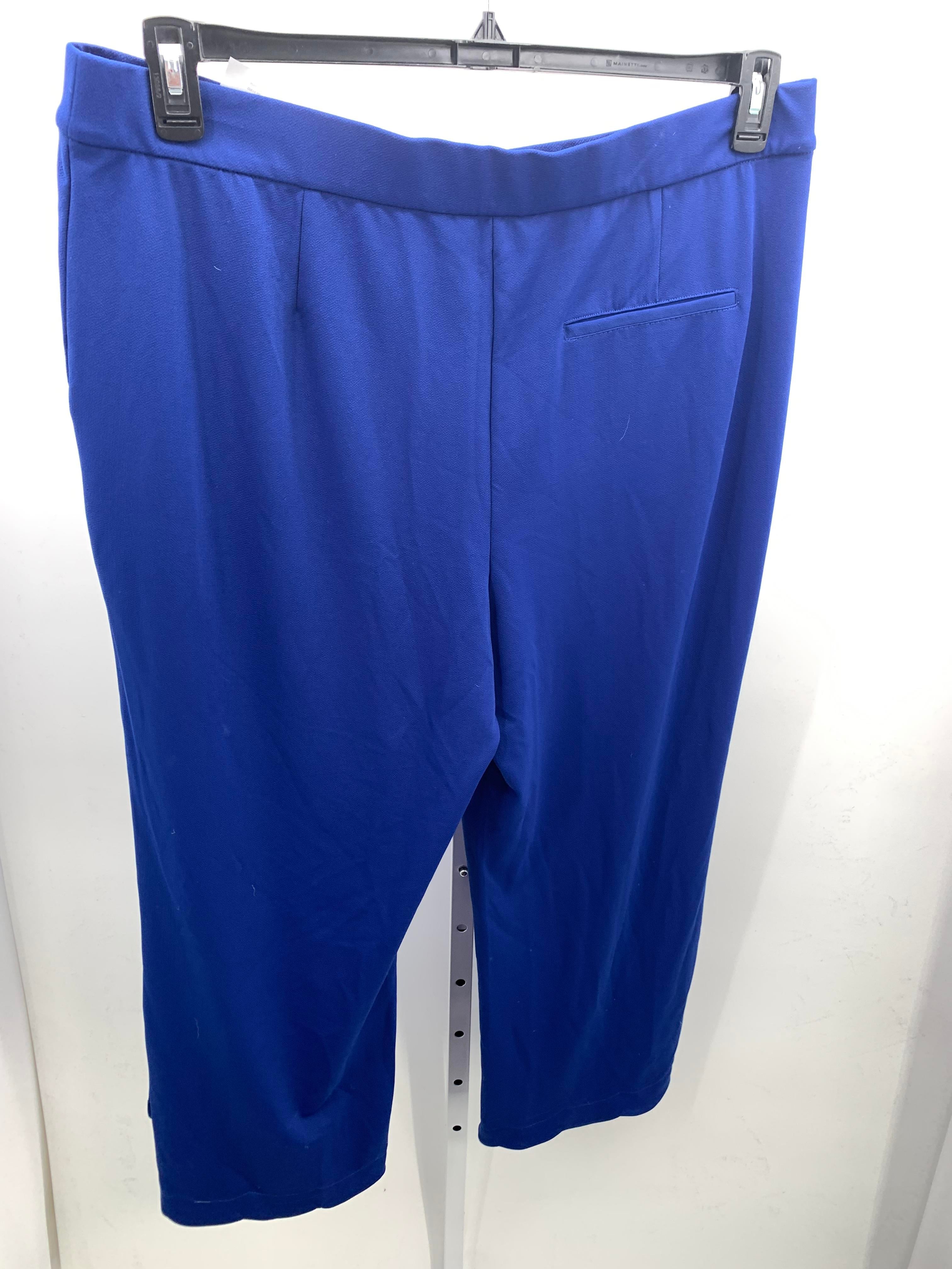 Isaac Mizrahi Size Extra Large Misses Pants