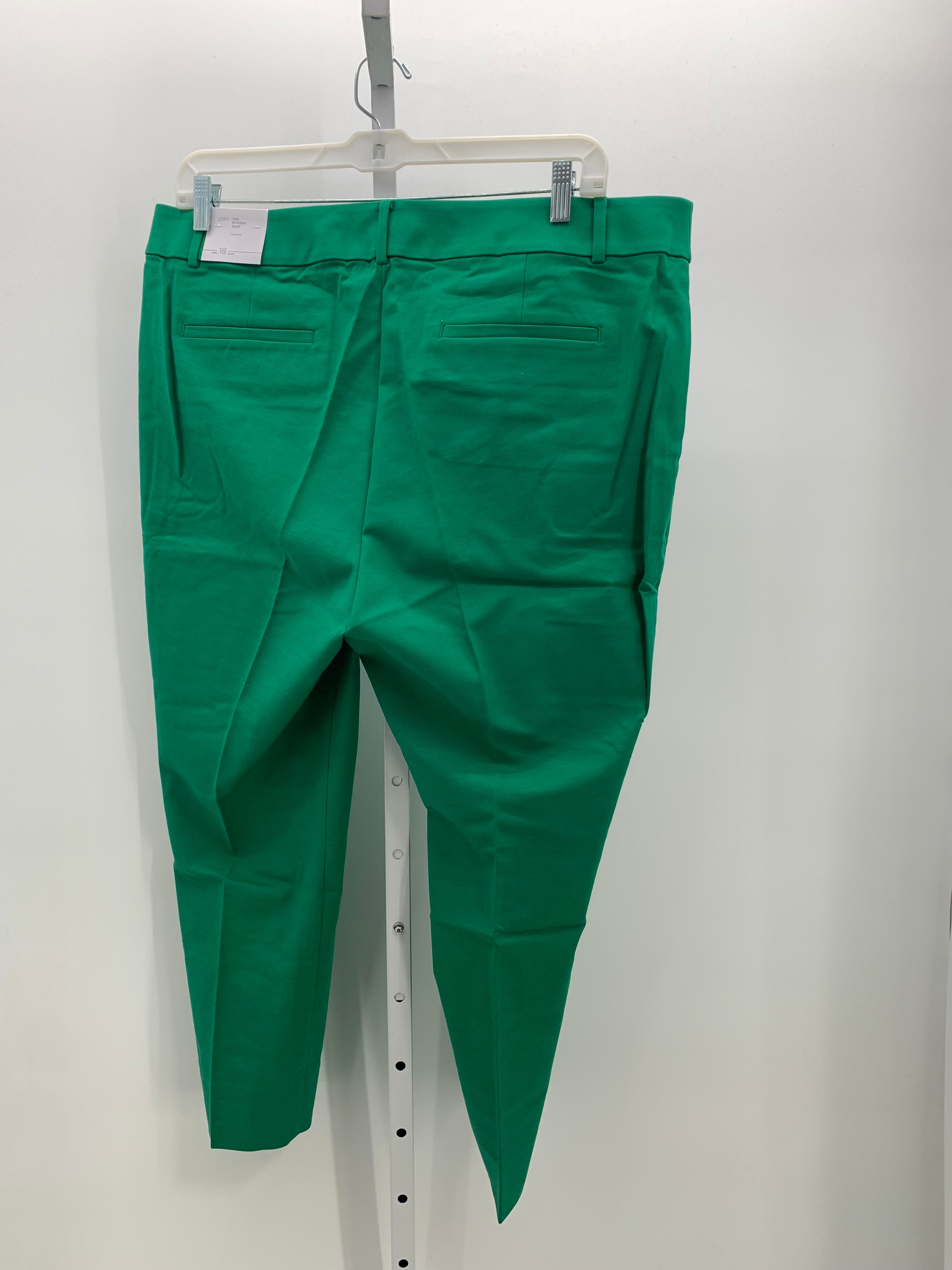 Loft Size 18 W Womens Pants