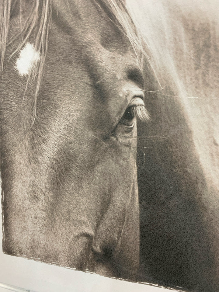 HORSE FACE CLOSE-UP WRAPPED CANVAS.