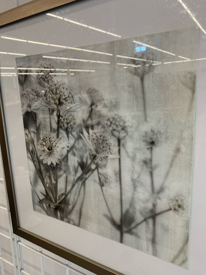 DANDELION PRINT IN GREY FRAME.