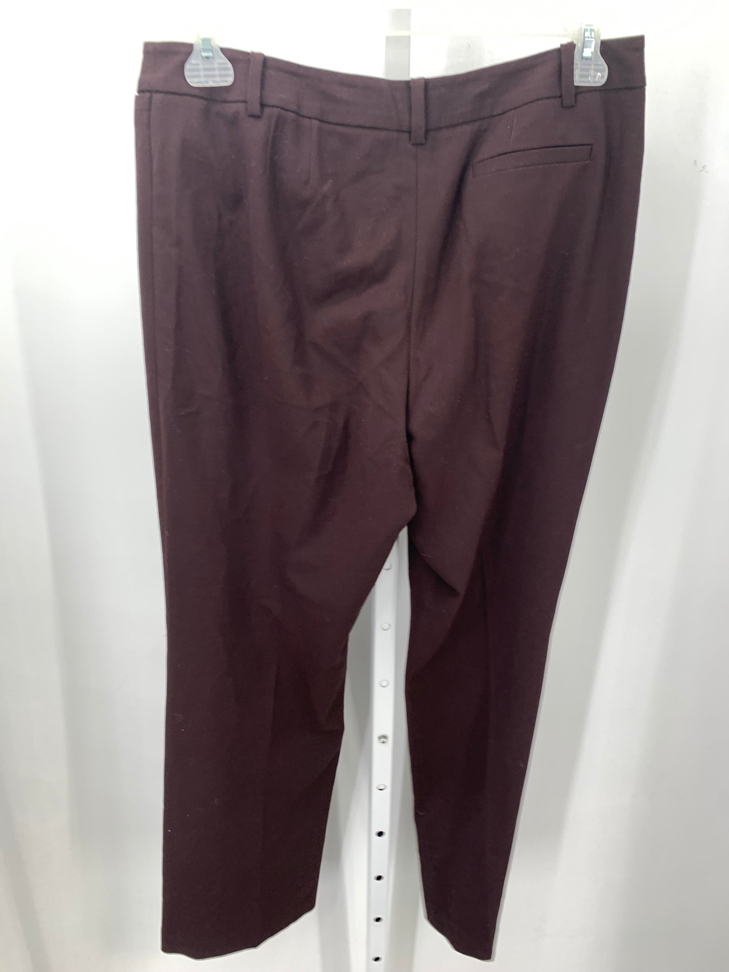 Ann Taylor Size 12 Petite Petite Pants