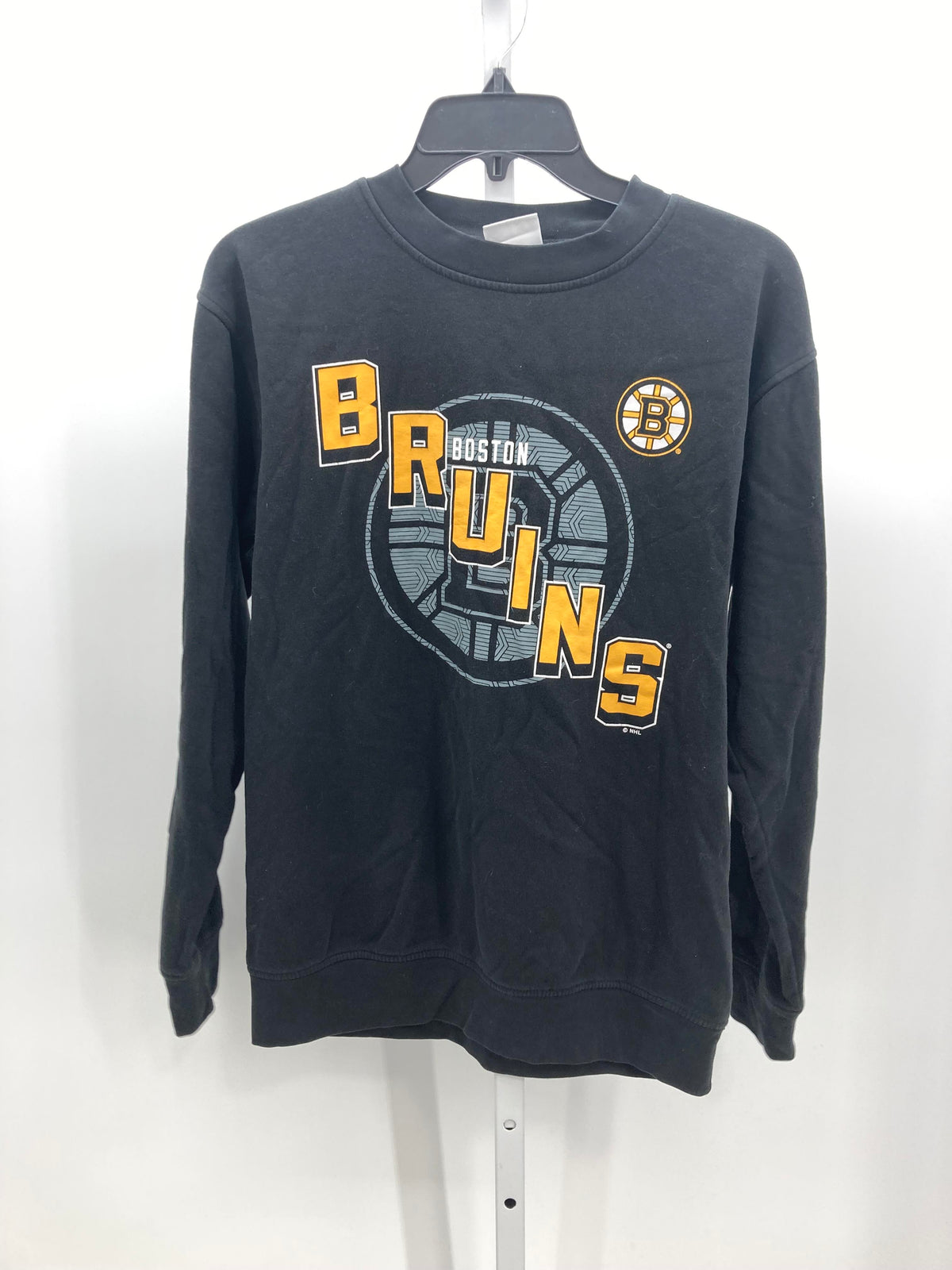 BOSTON BRUINS