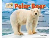 Polar Bear (Arctic Animals: Life Outside the Igloo) - Phillips, Dee