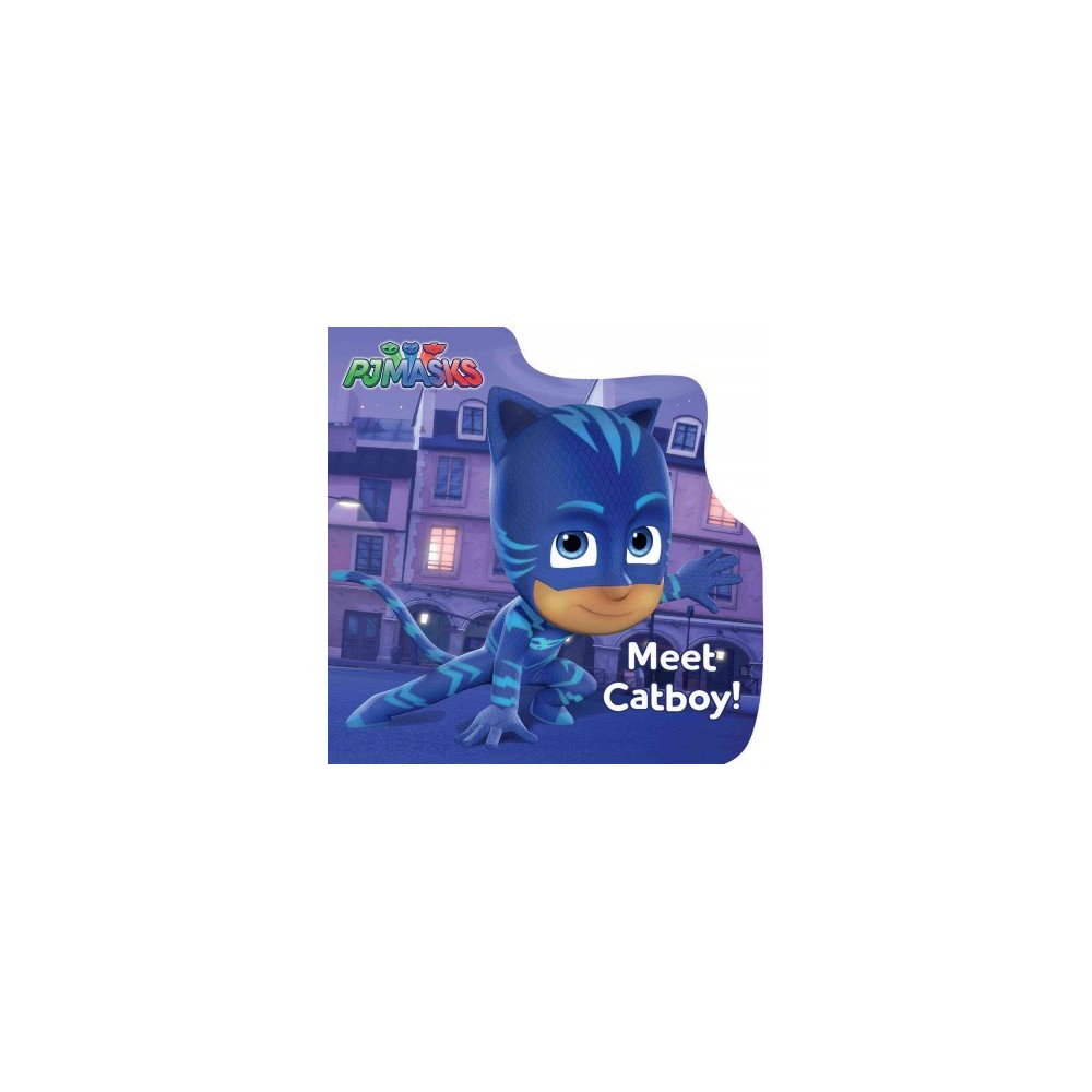 Meet Catboy (Board Book) - R.