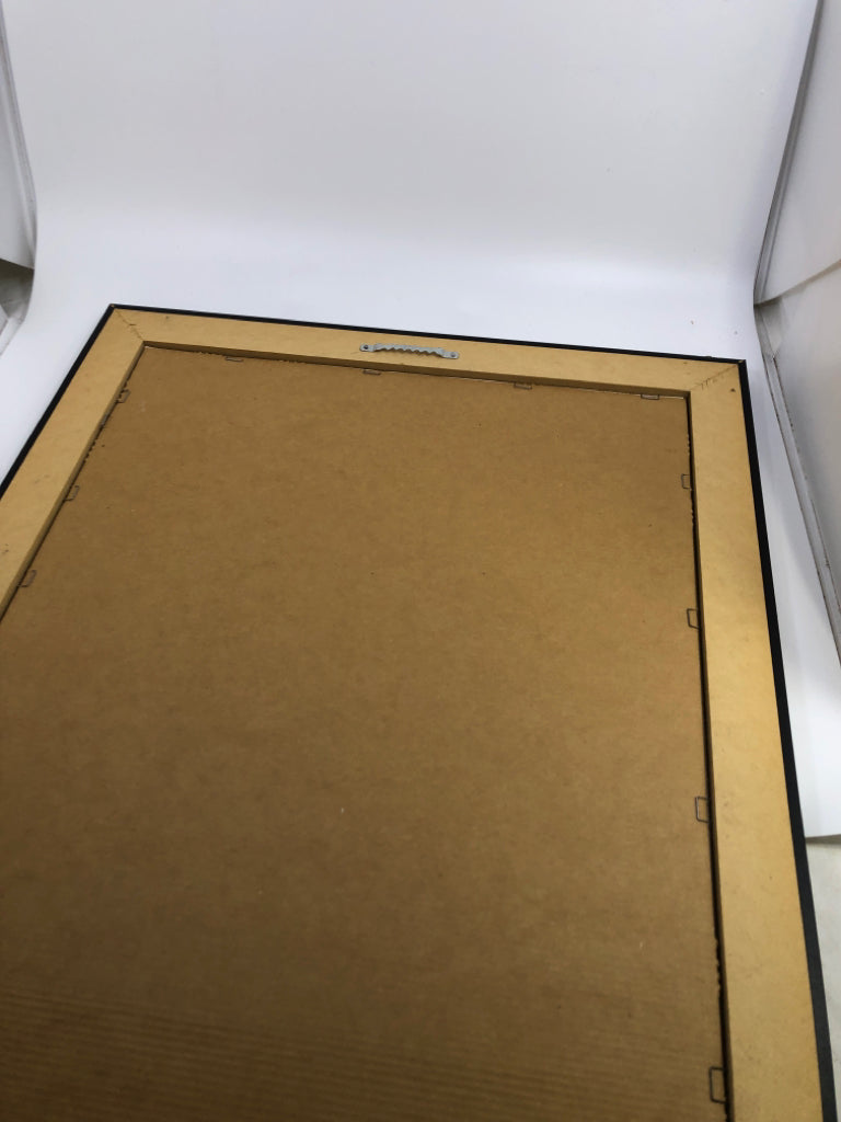 WHITE ROSE IN BLACK FRAME PICTURE.