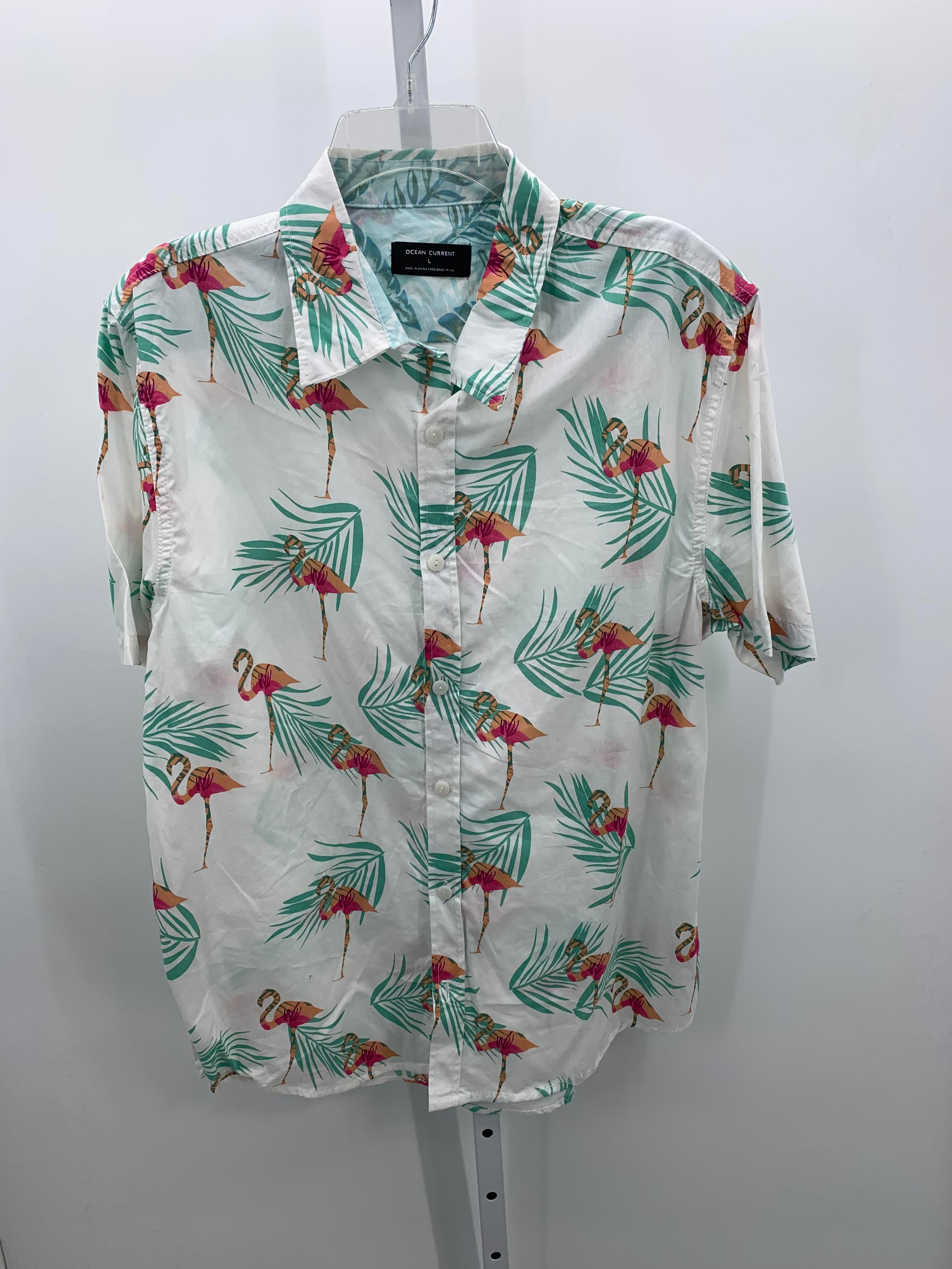 TROPICAL FLAMINGOS